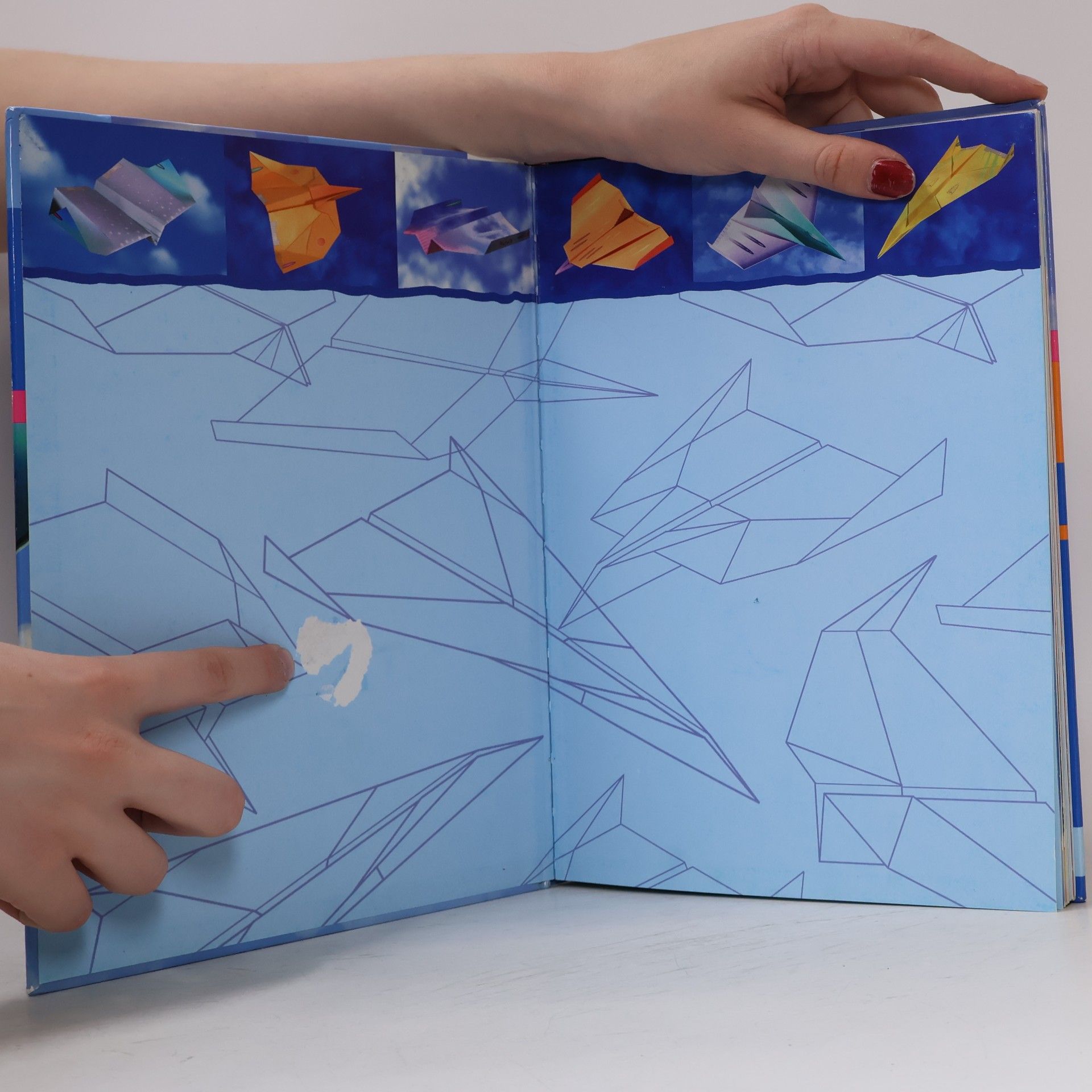 Andreas Martius Das grosse Papierfliegerbuch