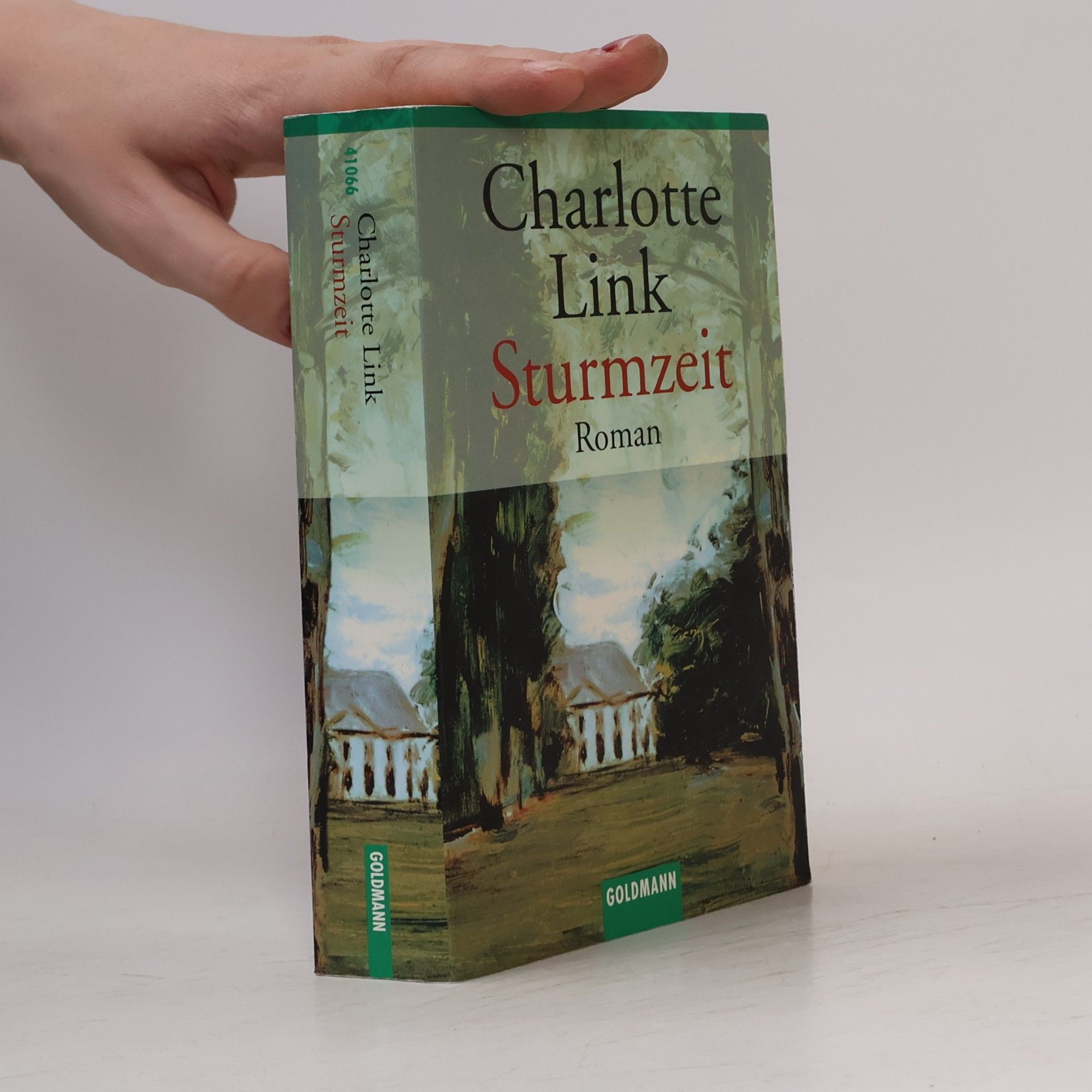 Charlotte Link Sturmzeit