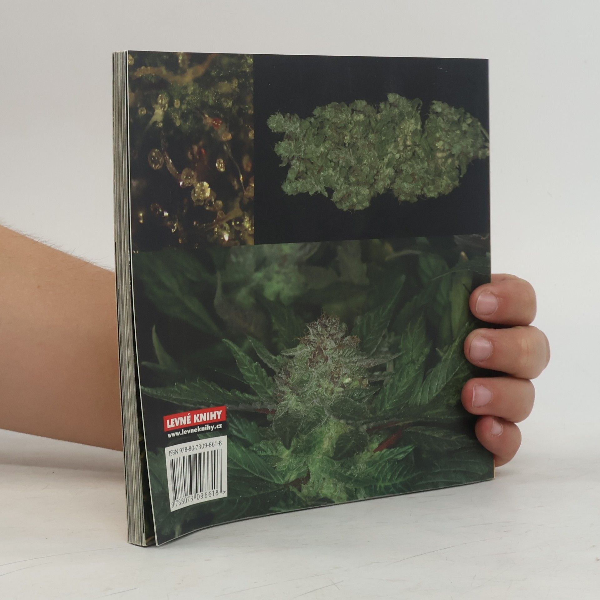 Jason King Cannabible