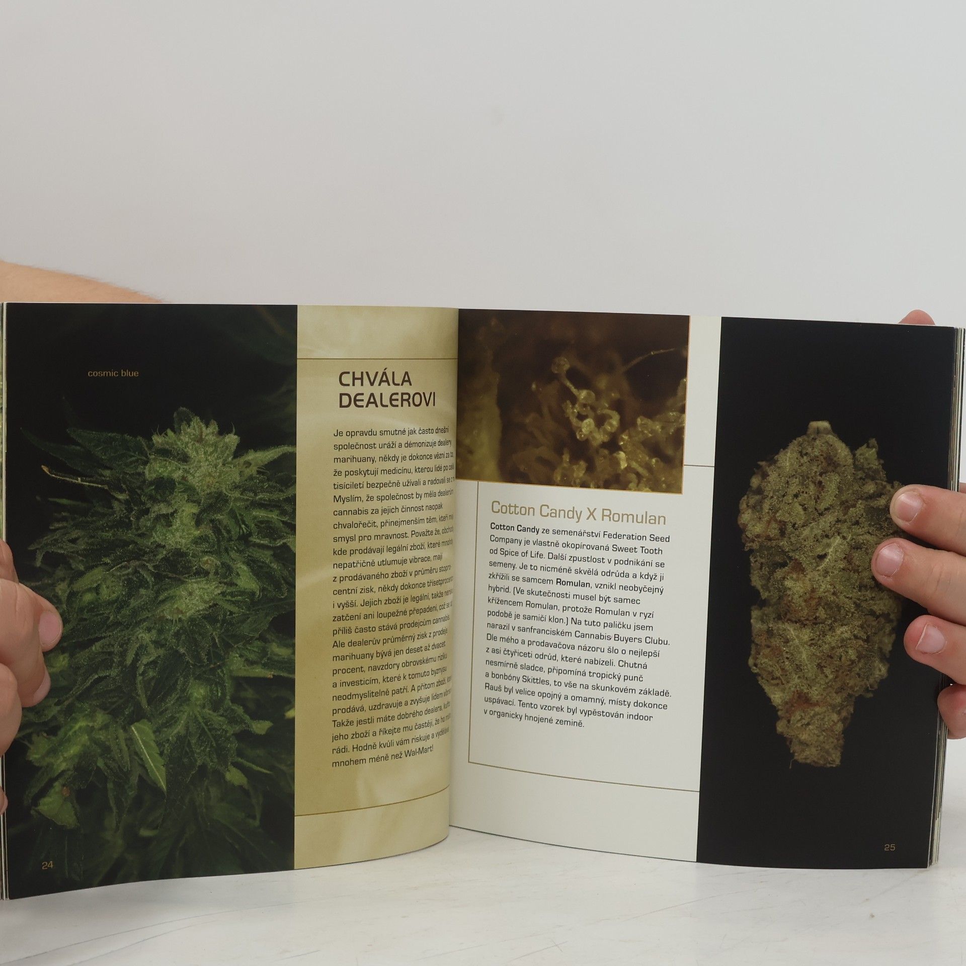 Jason King Cannabible