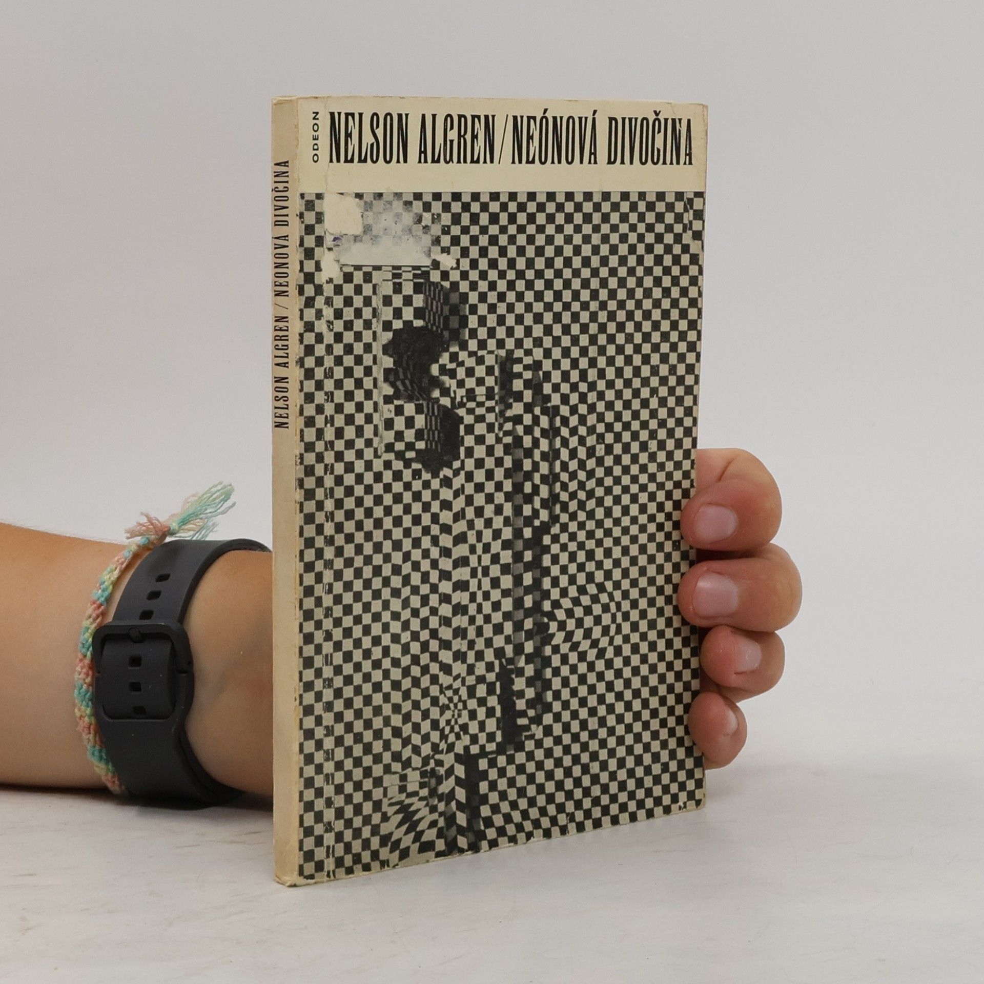 Nelson Algren Neónová divočina