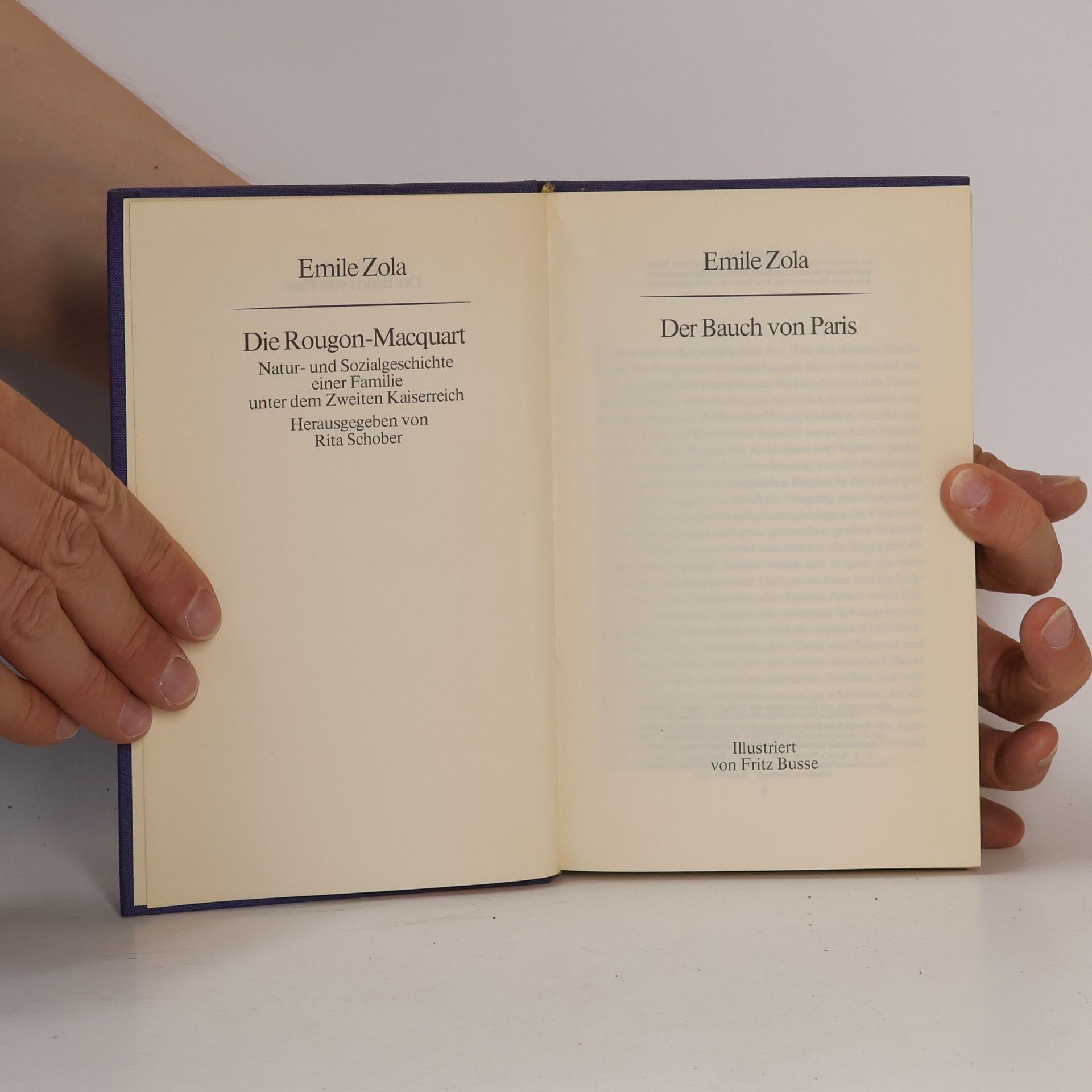 Émile Zola Der Bauch von Paris
