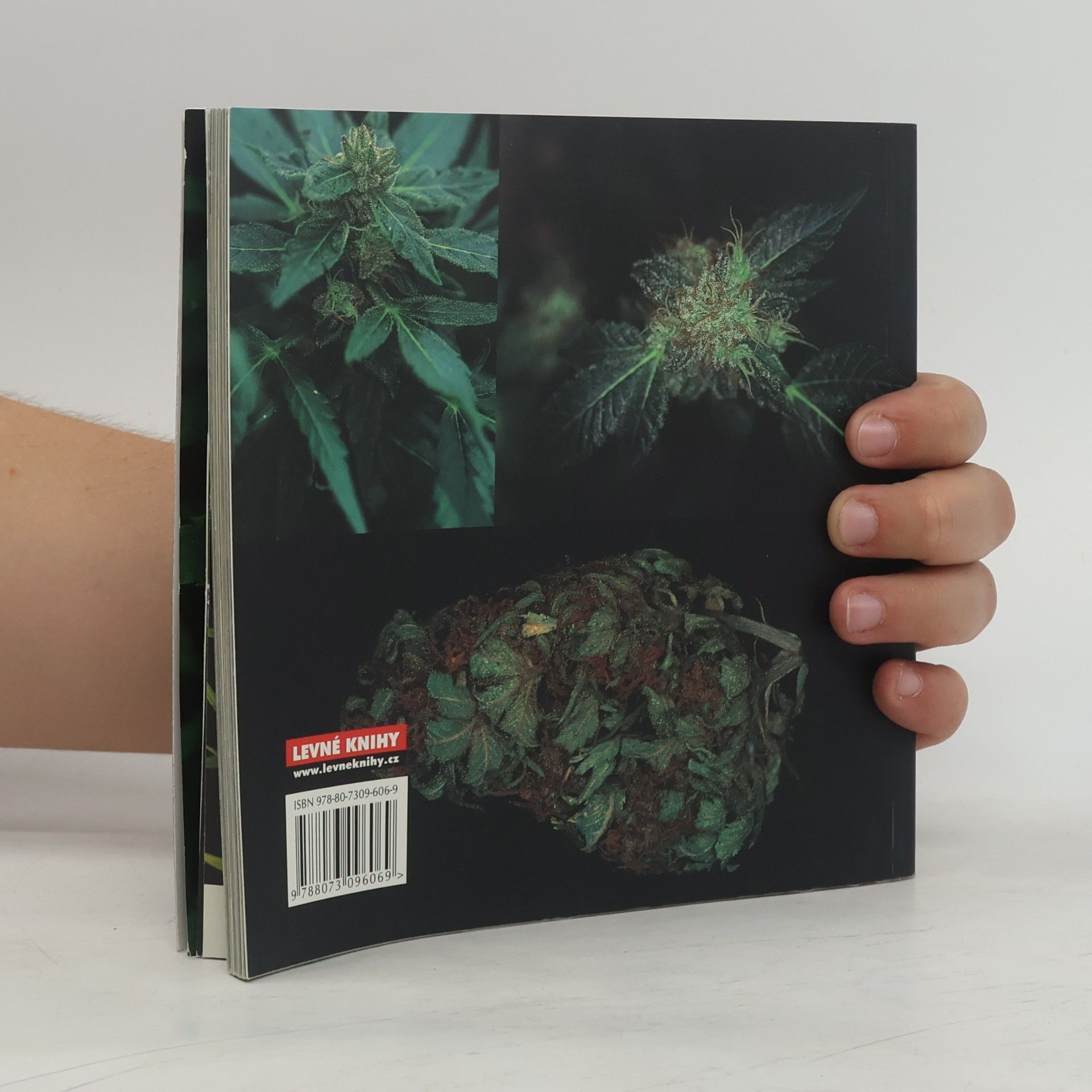 Jason King Cannabible