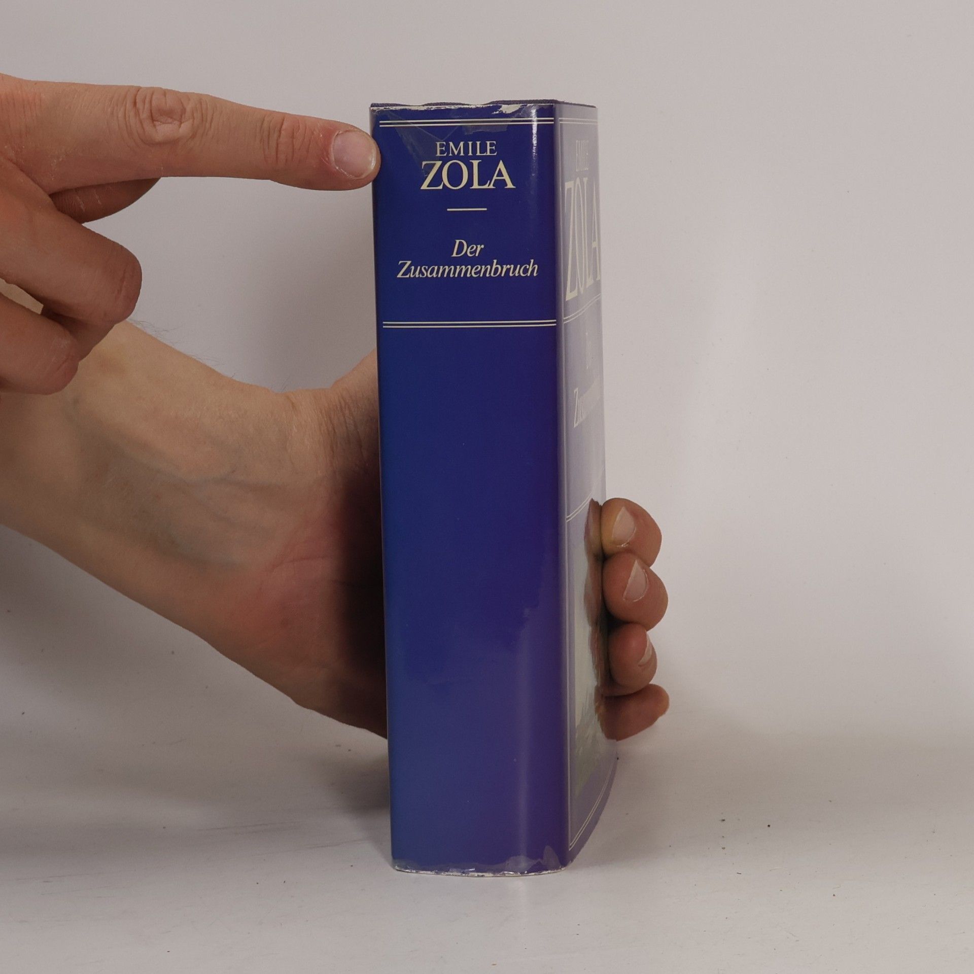 Émile Zola Der Zusammenbruch
