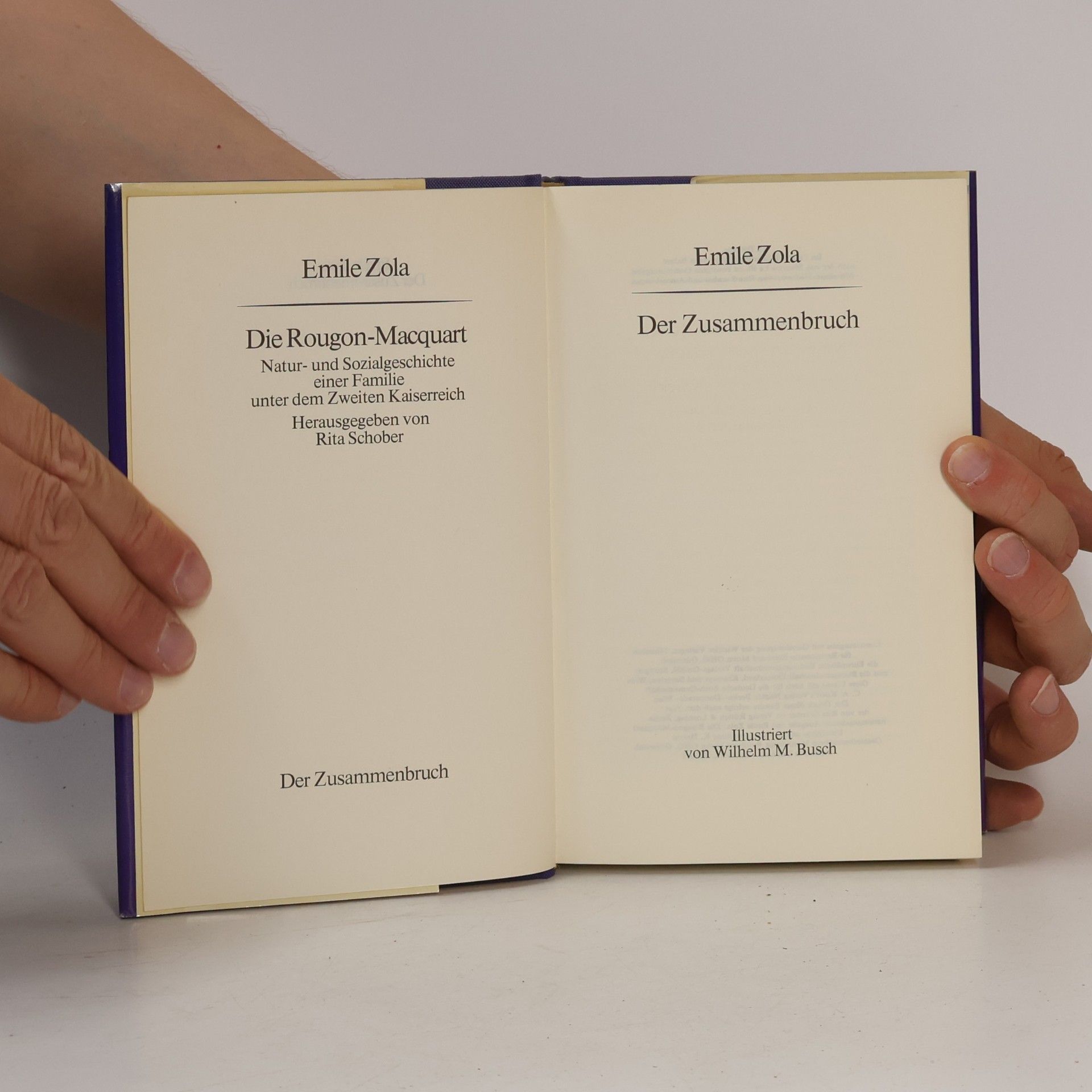 Émile Zola Der Zusammenbruch