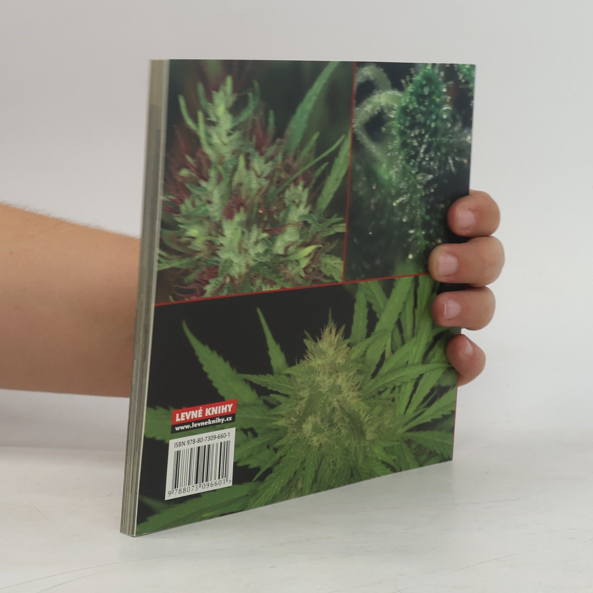 Jason King Cannabible