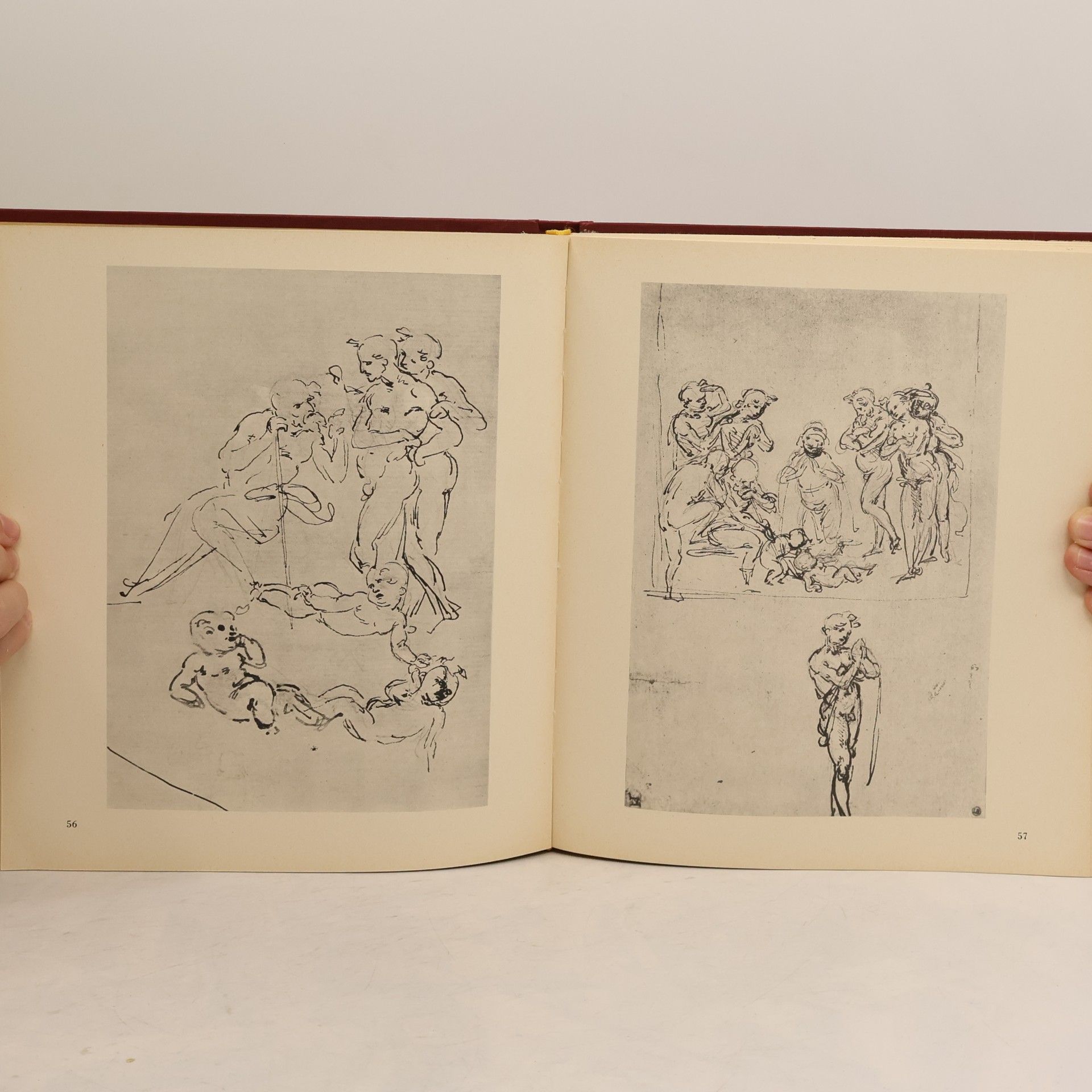 Giorgio Nicodemi Leonardo da Vinci. Gemälde, Zeichnungen, Studien