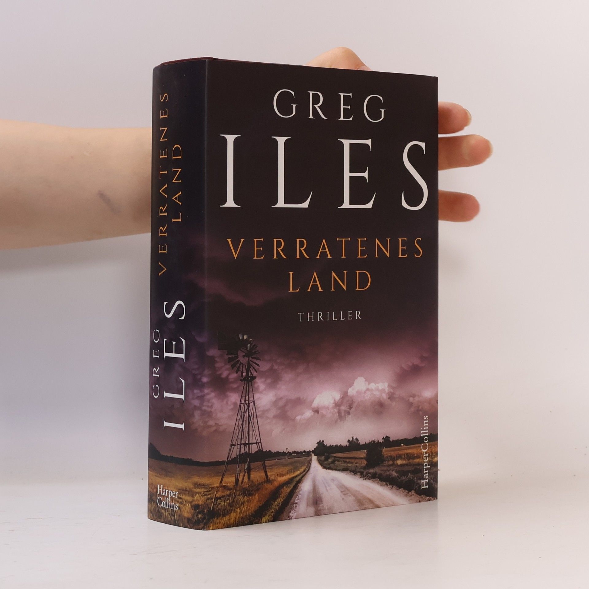 Greg Iles Verratenes Land