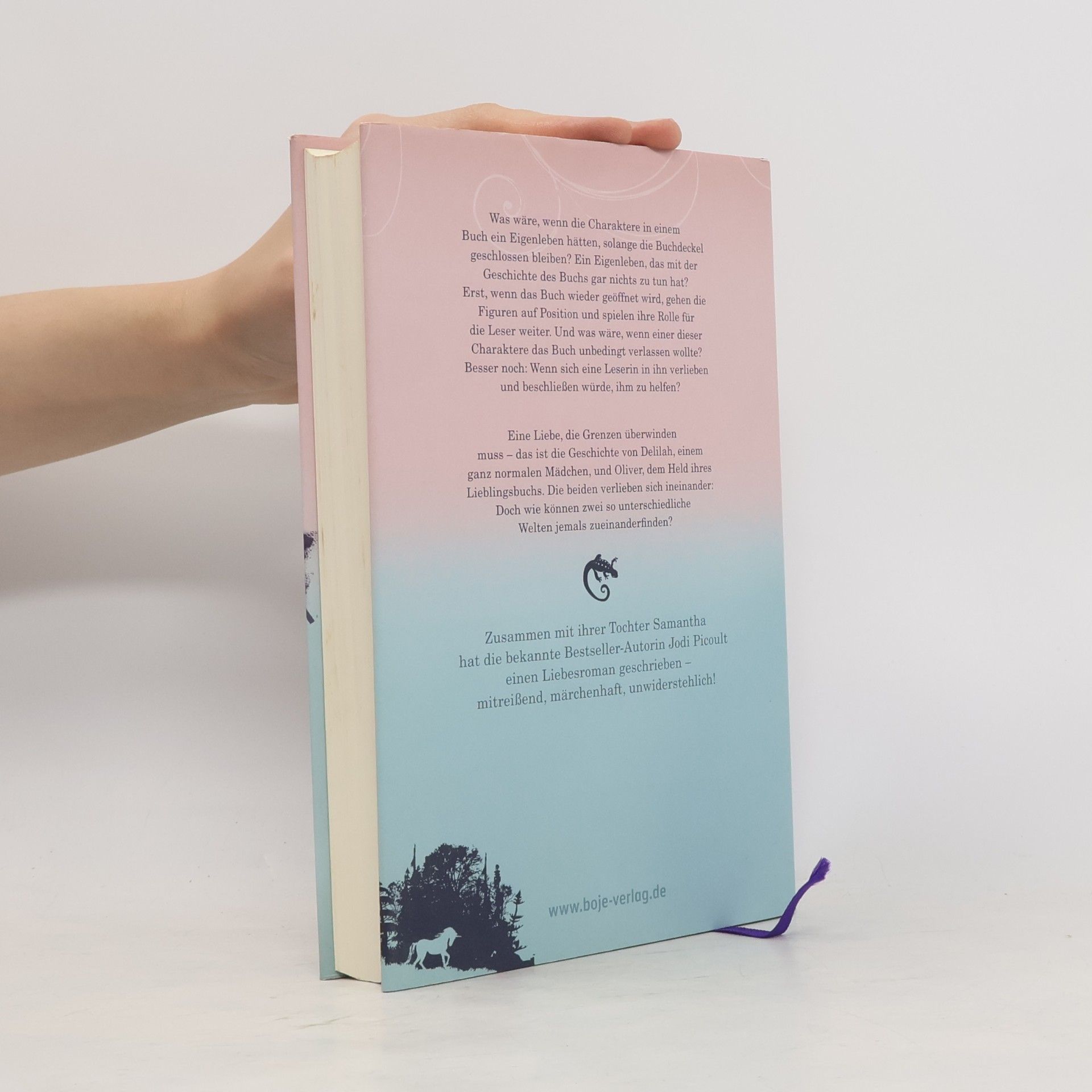 Jodi Picoult Mein Herz zwischen den Zeilen