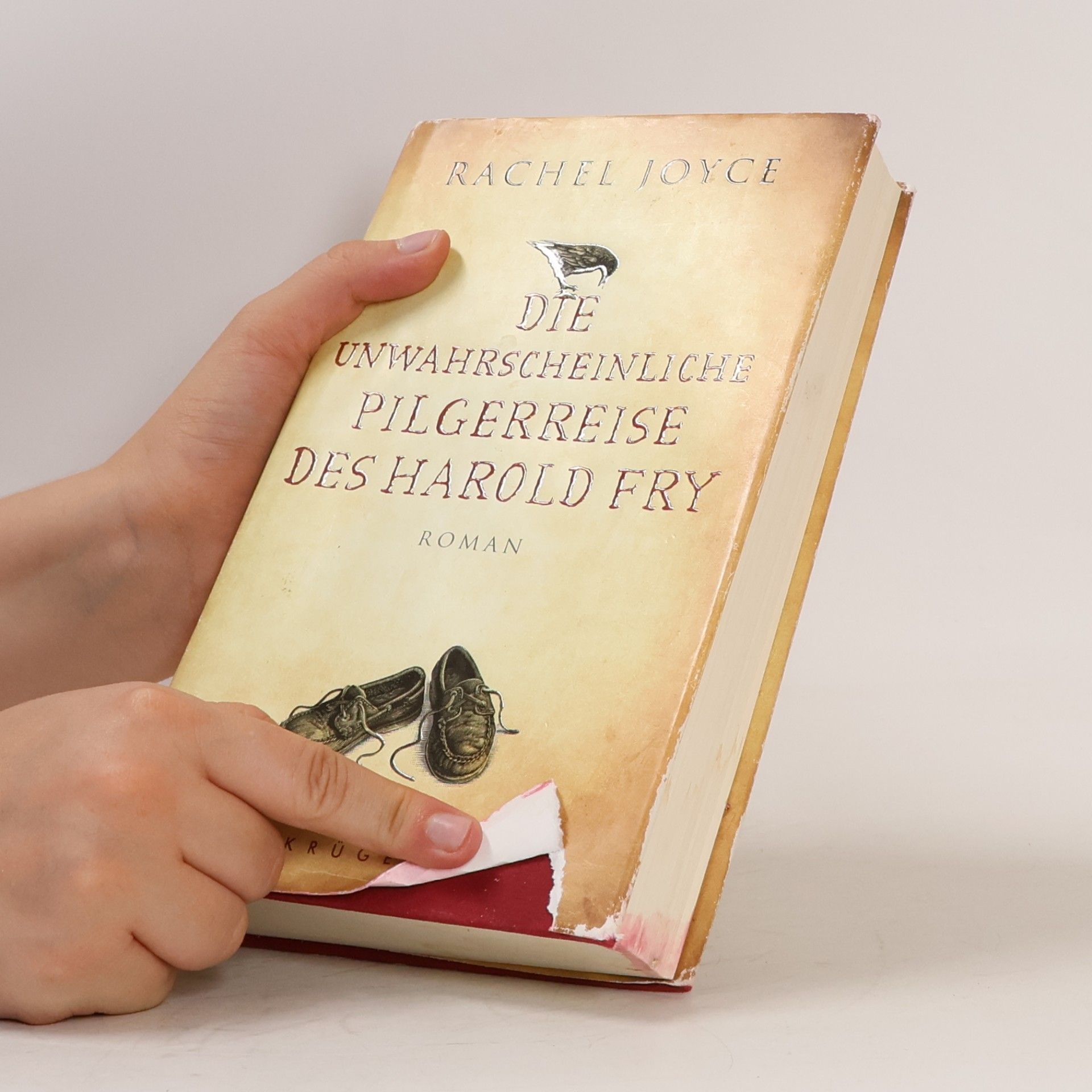 Rachel Joyce Die unwahrscheinliche Pilgerreise des Harold Fry