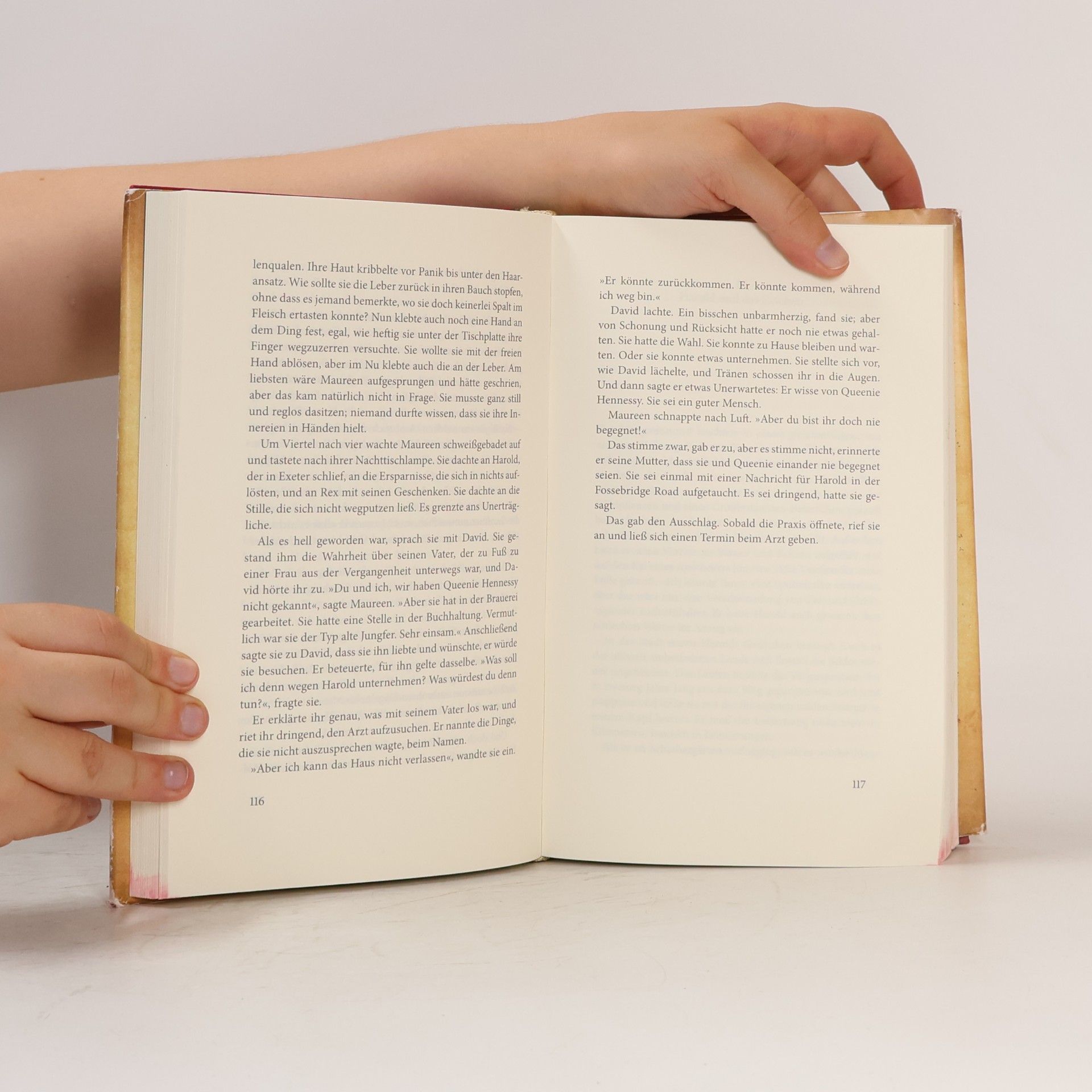 Rachel Joyce Die unwahrscheinliche Pilgerreise des Harold Fry