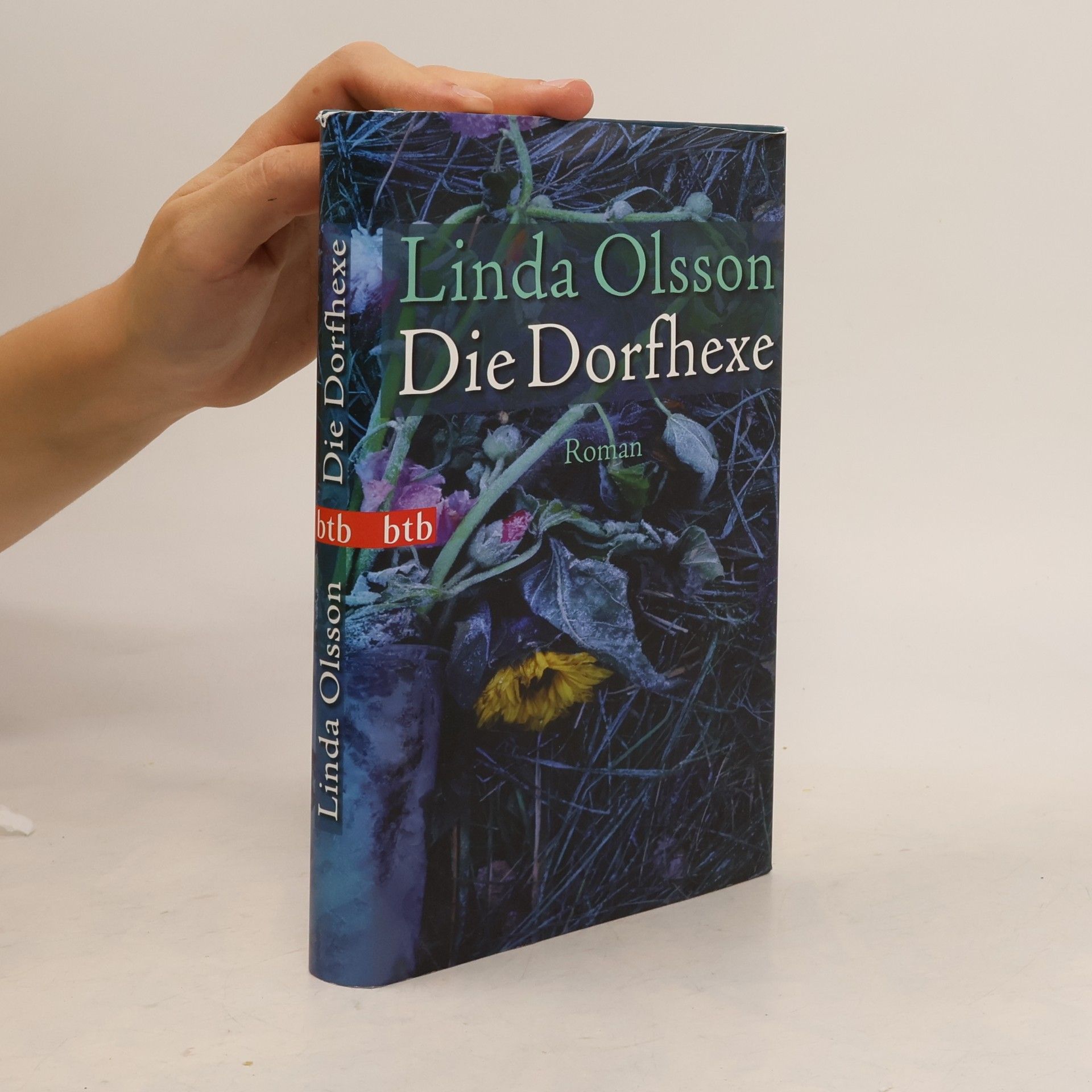 Linda Olsson Die Dorfhexe