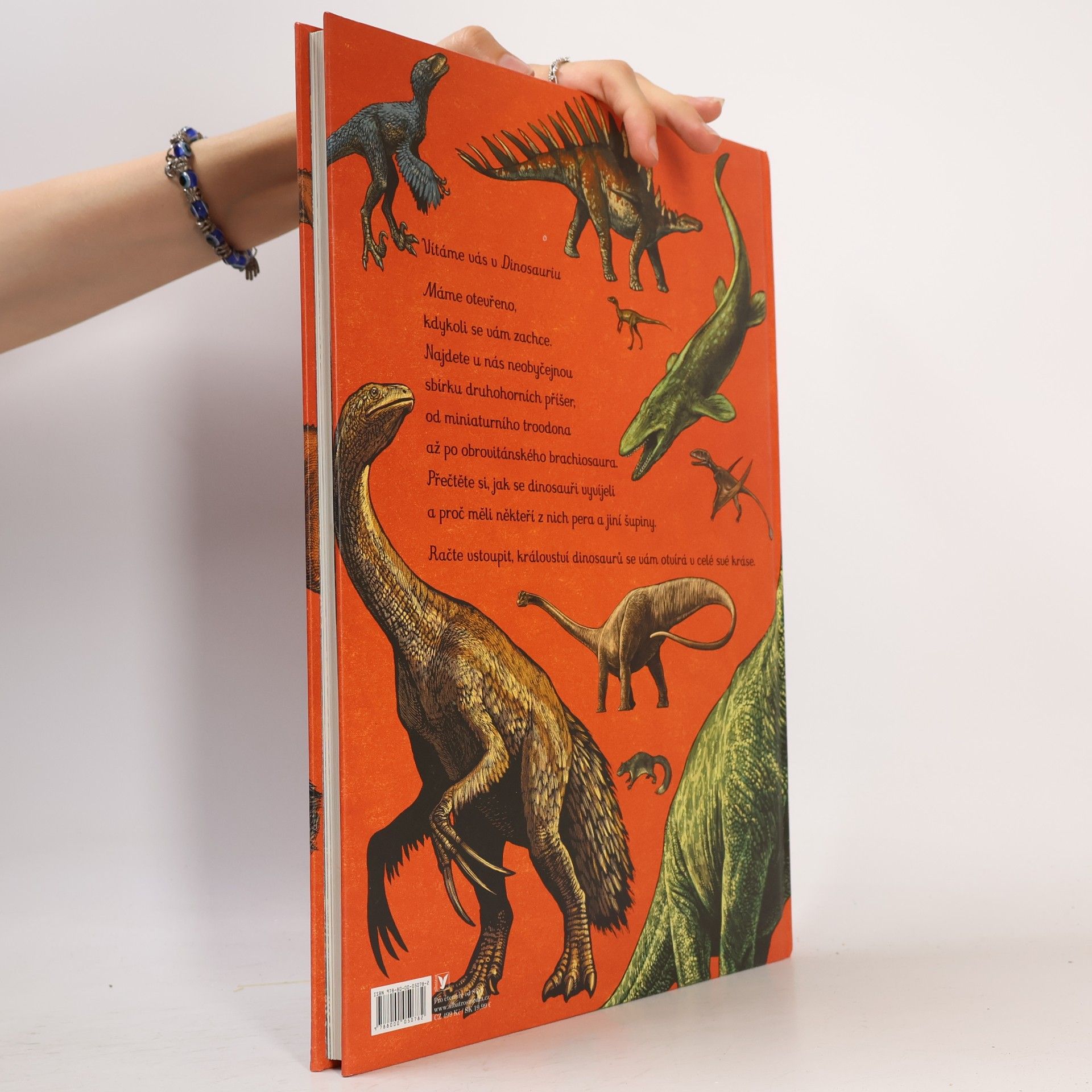 Lily Murray Dinosaurium