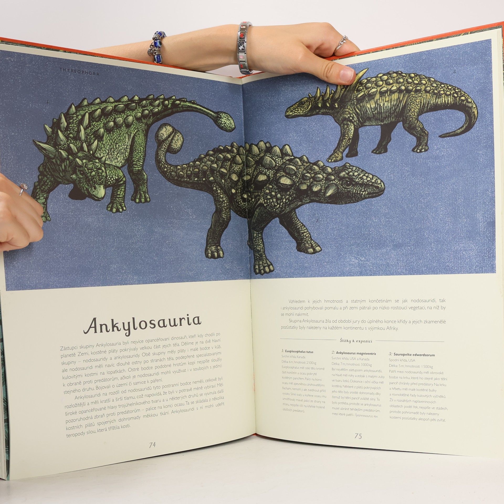 Lily Murray Dinosaurium
