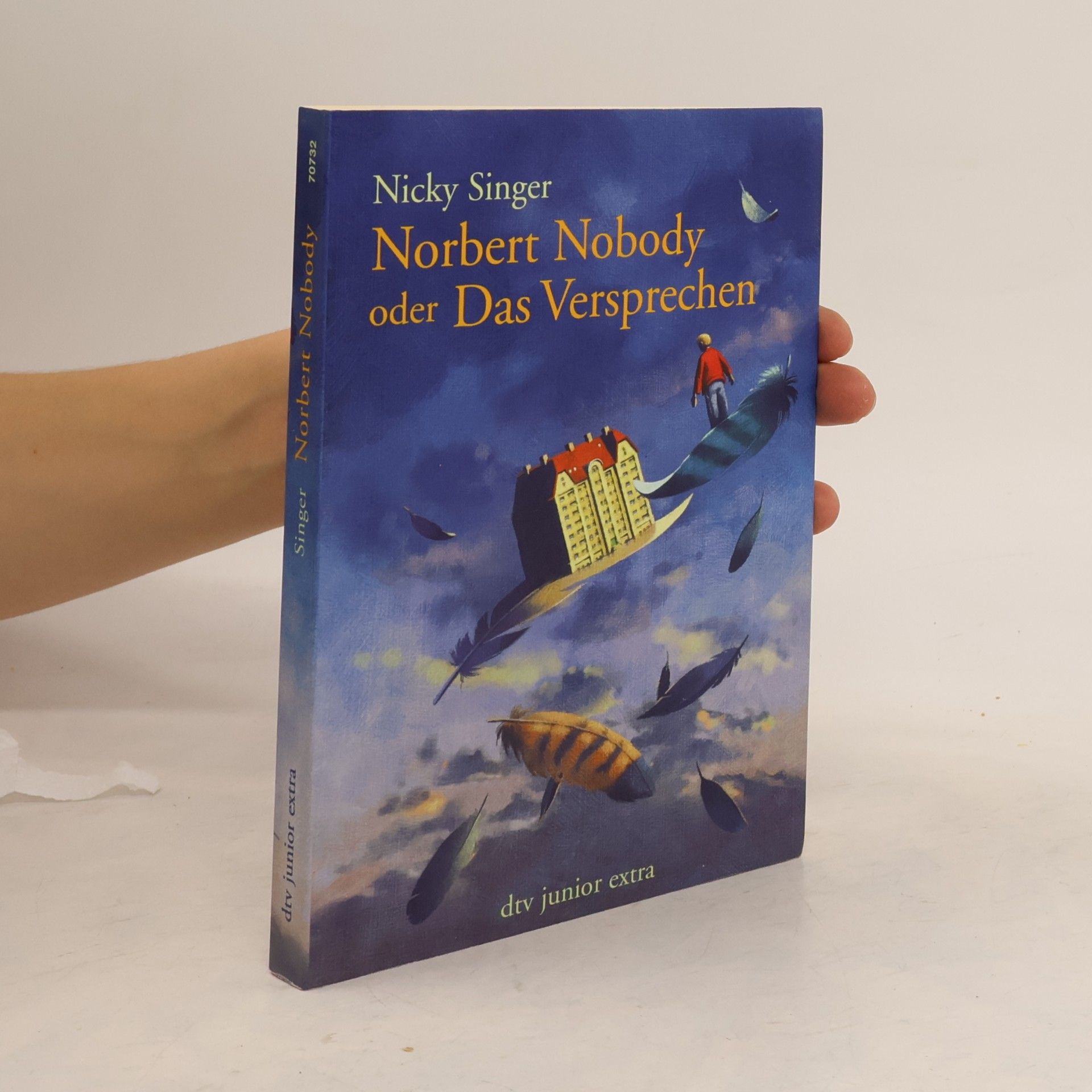 Nicky Singer Norbert Nobody oder das Versprechen