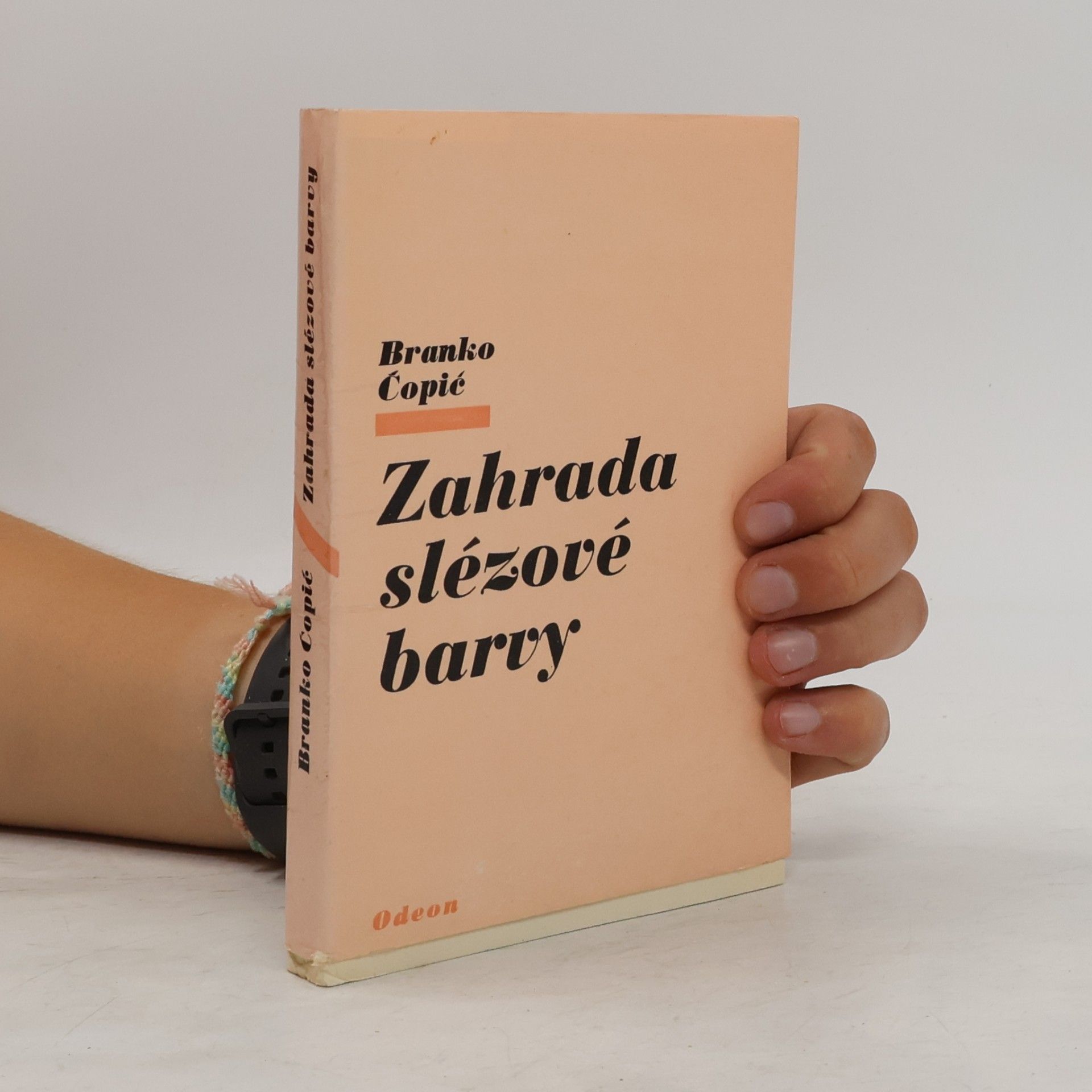 Branko Ćopić Zahrada slézové barvy