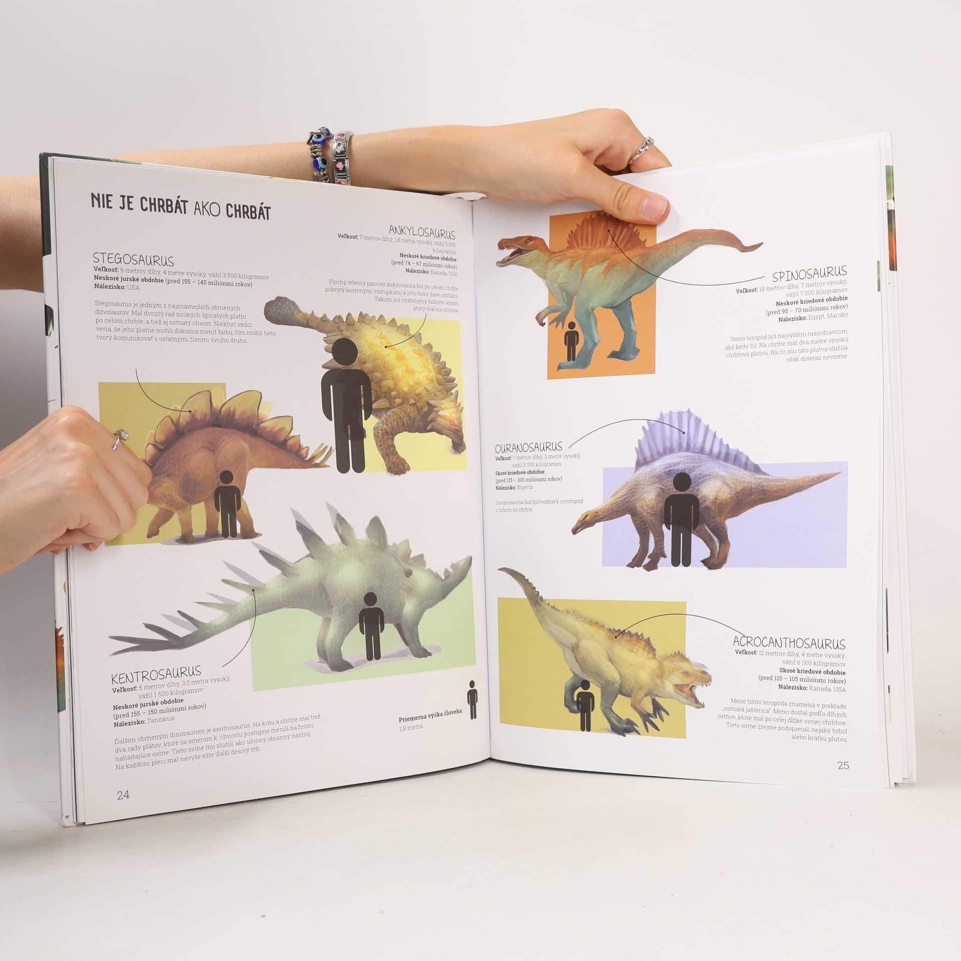 Kolektív autorov Svet zázrakov Obdobie dinosaurov