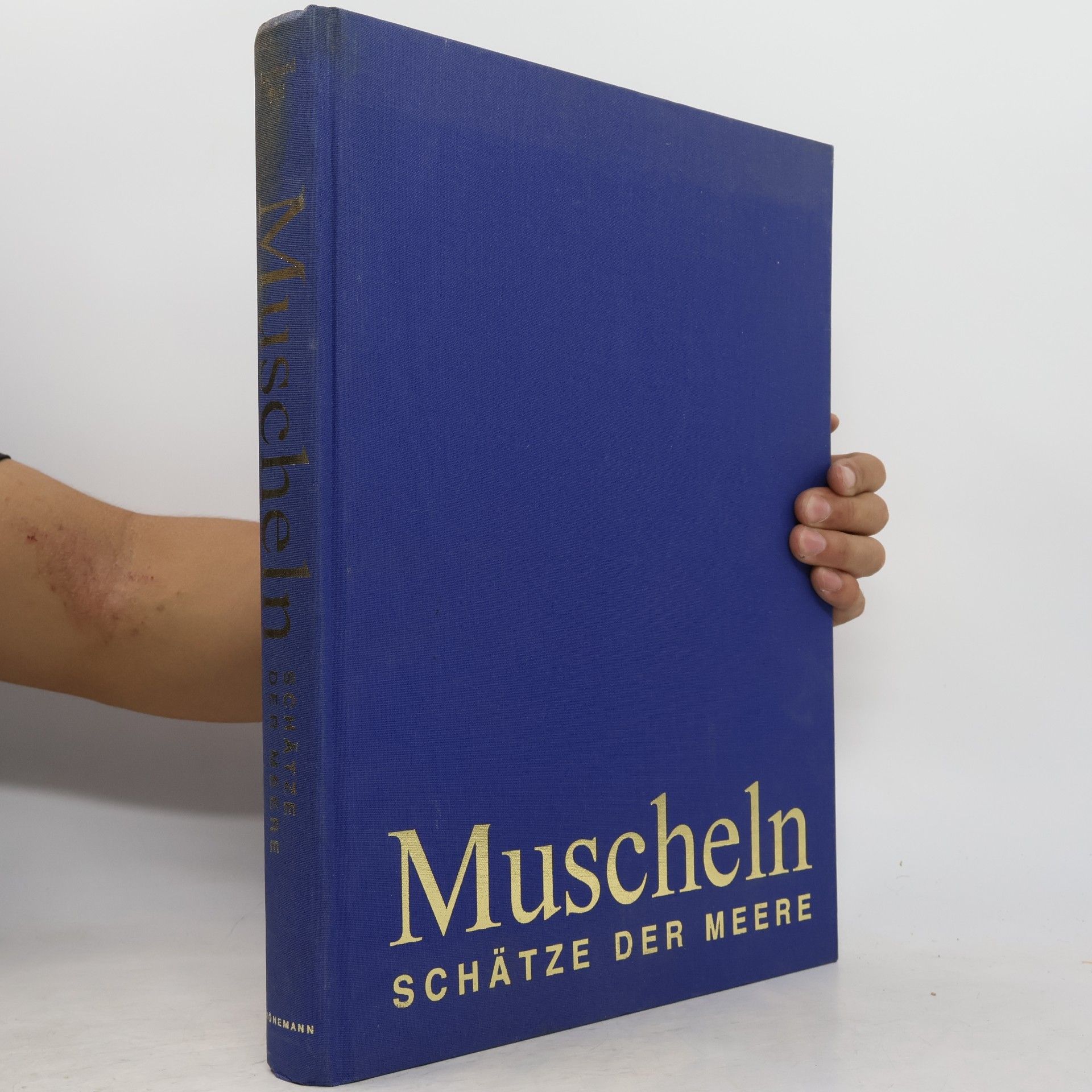 Muscheln