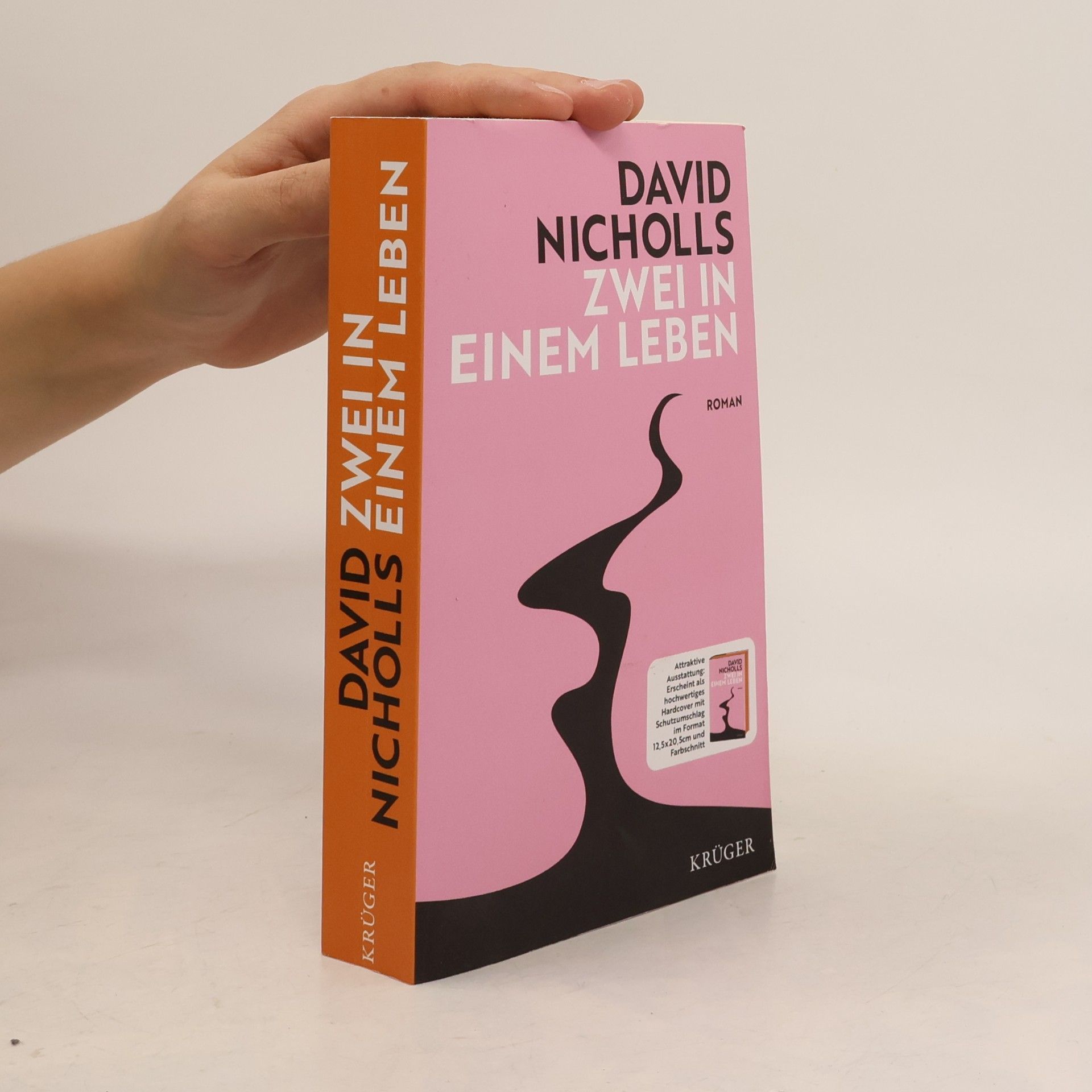 David Nicholls Zwei in einem Leben