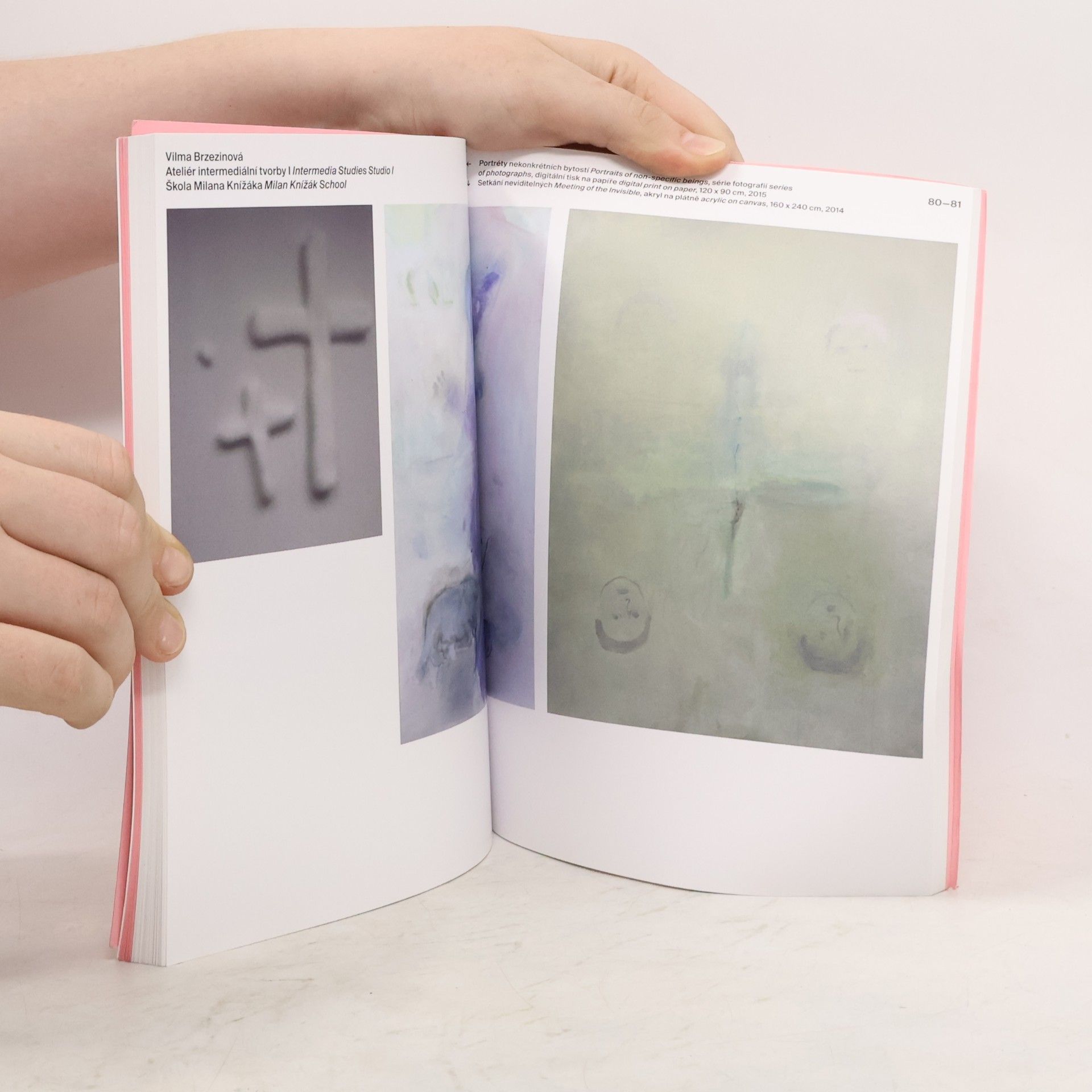 Kolektiv autorů Diplomanti AVU 2015 = Graduates from the Academy of Fine Arts in Prague 2015