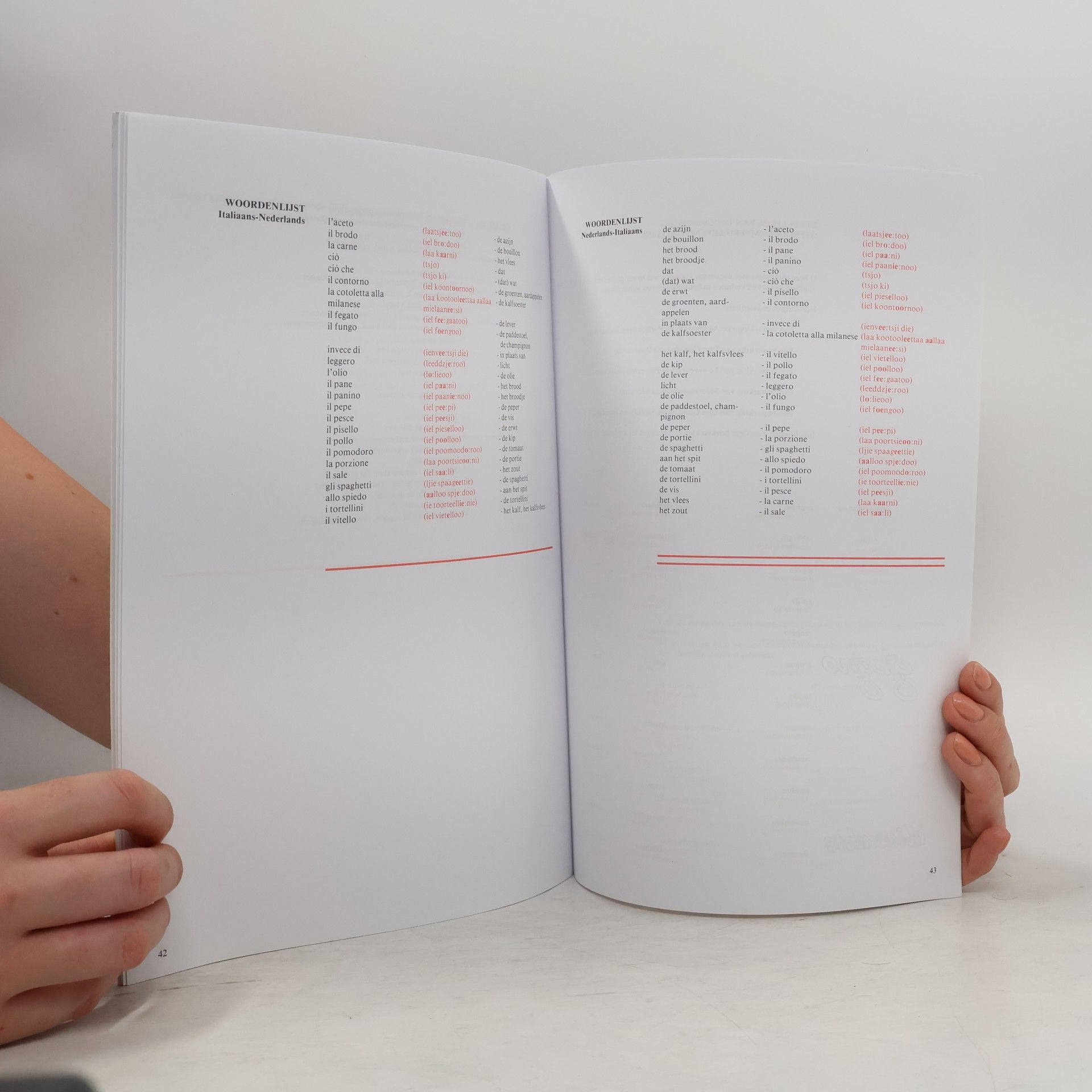 Autorenkollektiv Italiaans vor beginners. Les 33-36