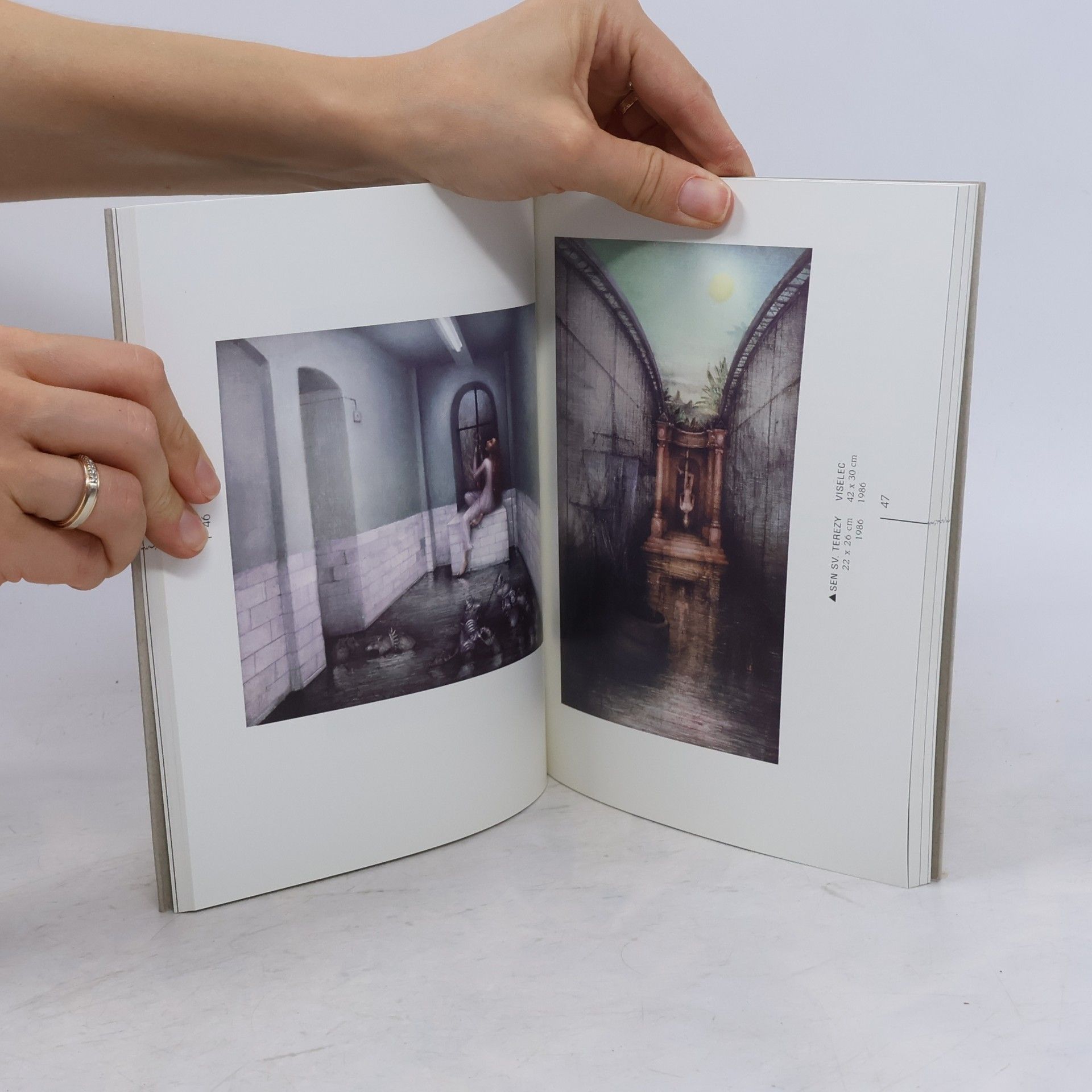 Collectif d'auteurs Vendula Císařovská : obrazy