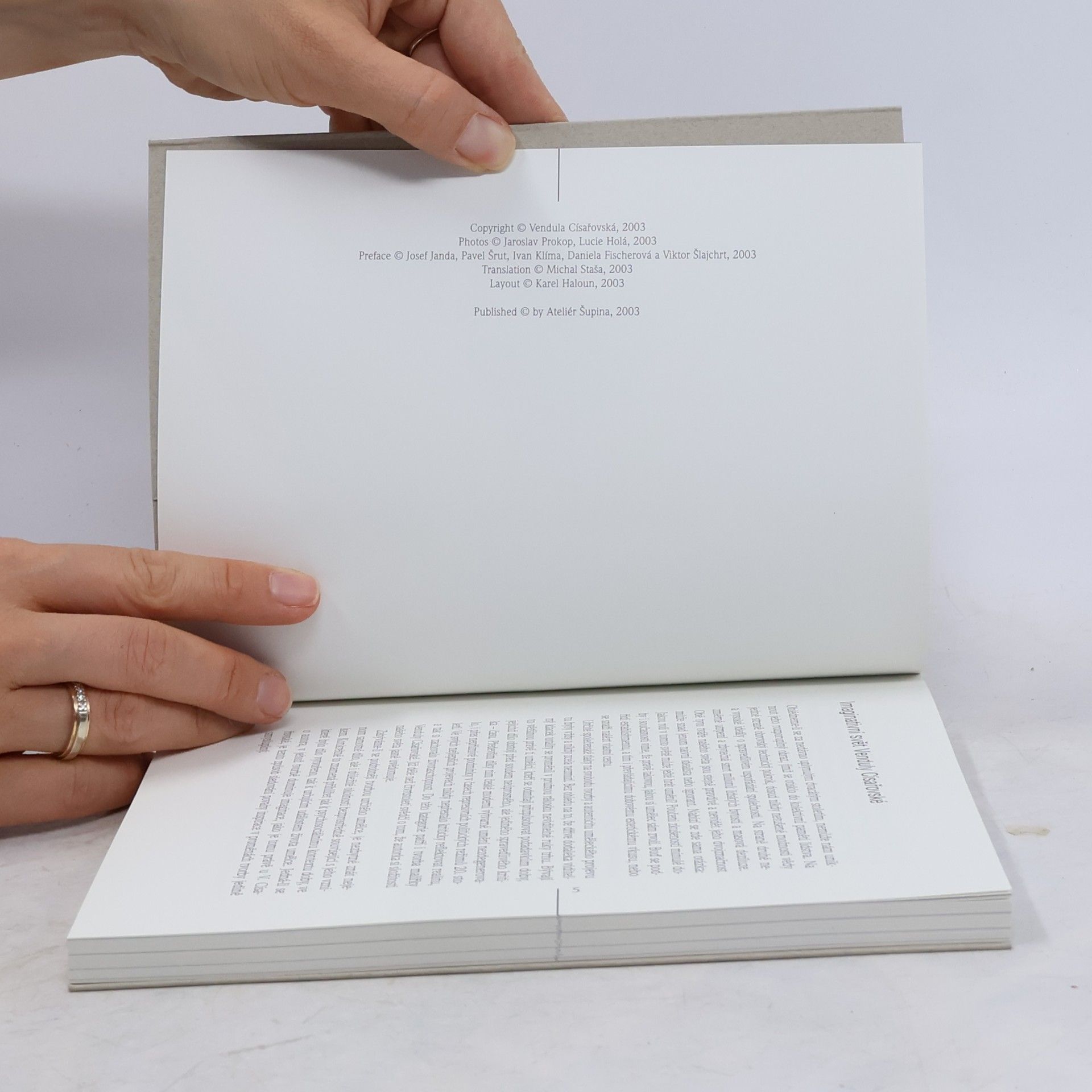 Collectif d'auteurs Vendula Císařovská : obrazy