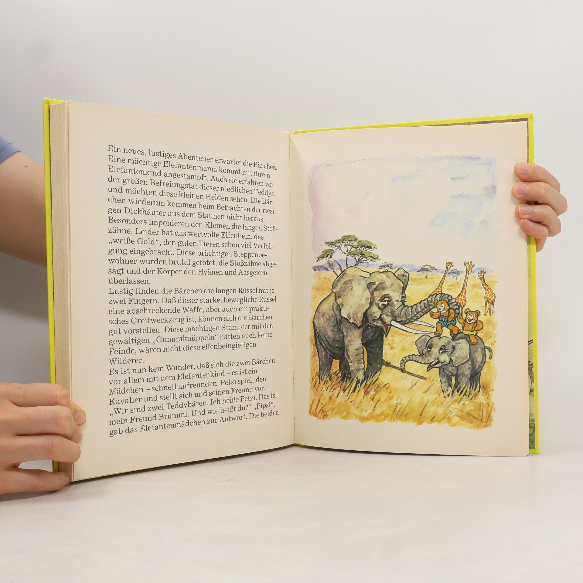 Richard Eder Mein großes Teddybuch