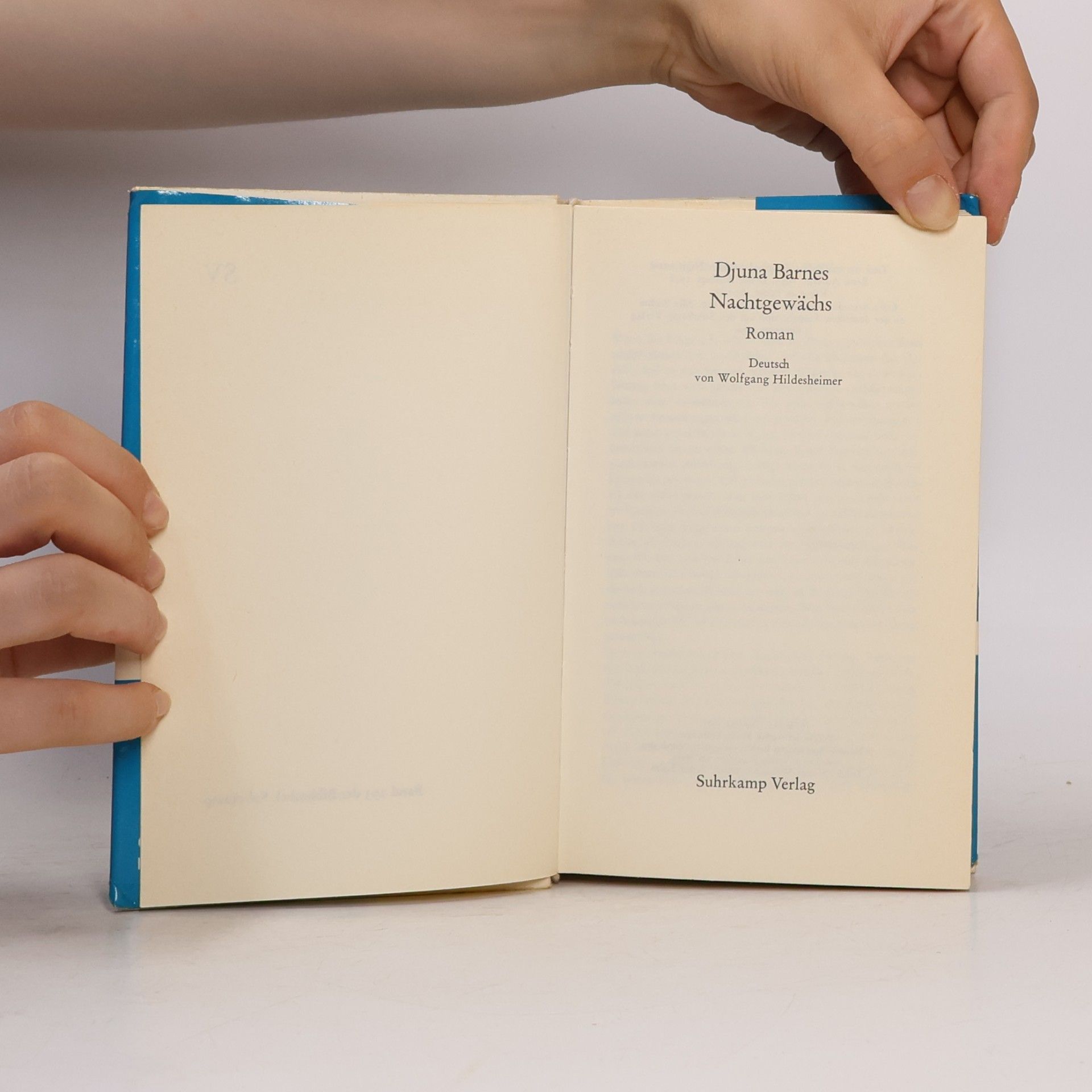 Djuna Barnes Nachtgewächs