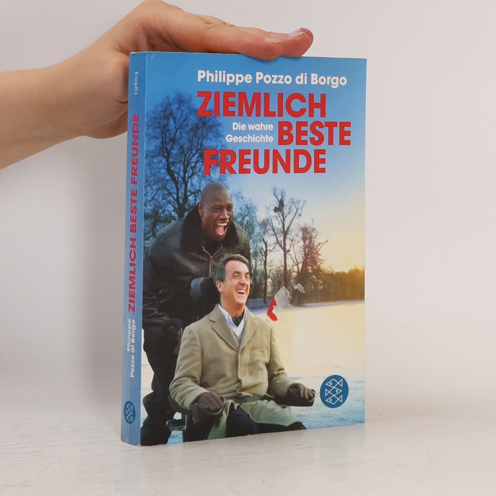 Philippe Pozzo Di Borgo Ziemlich beste Freunde