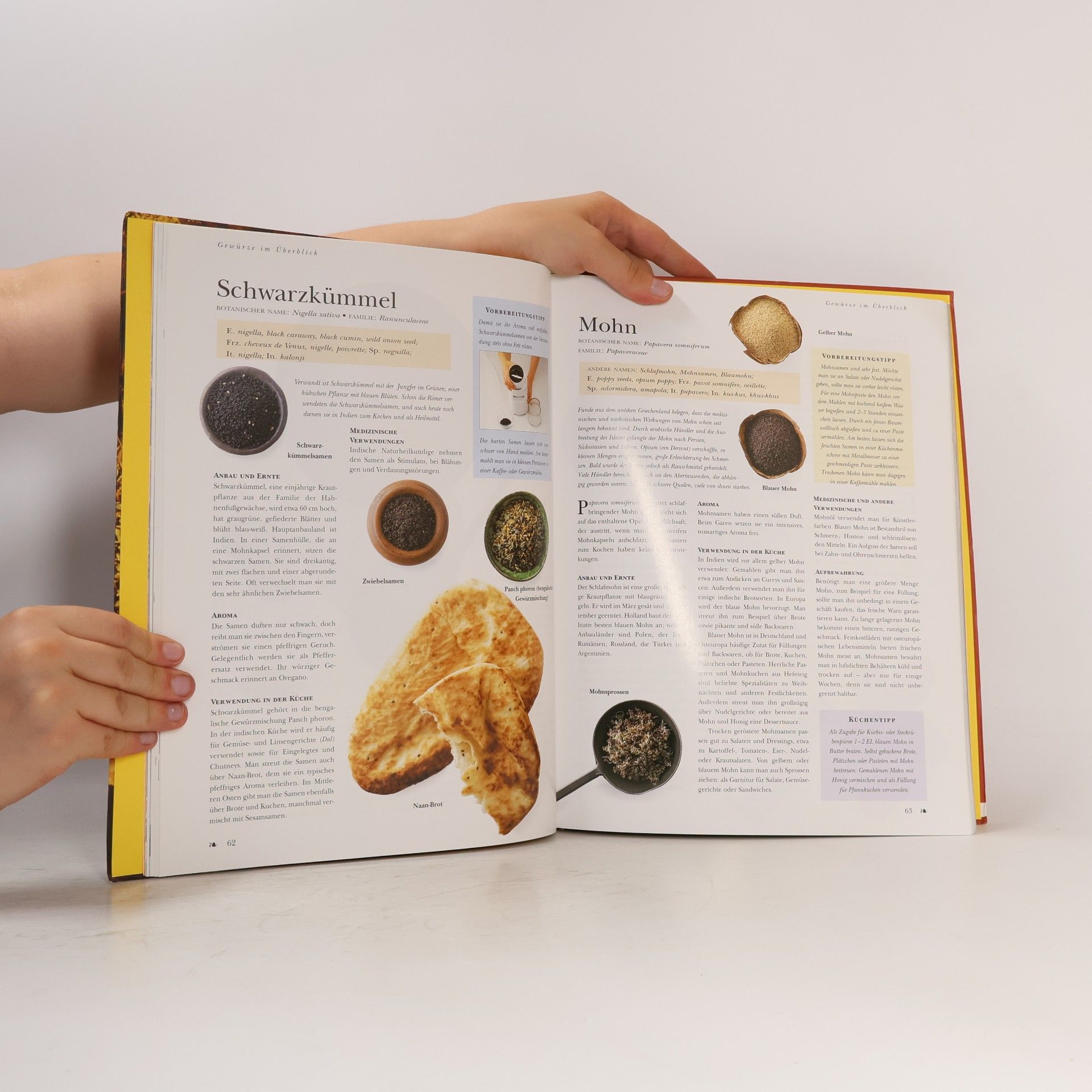 Sallie Morris Das Handbuch der Gewürze