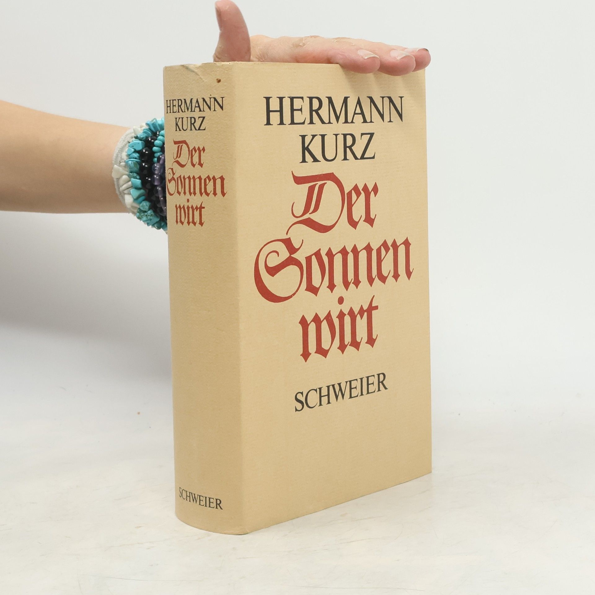Hermann Kurz Der Sonnenwirt. Eine schwäbische Volksgeschichte