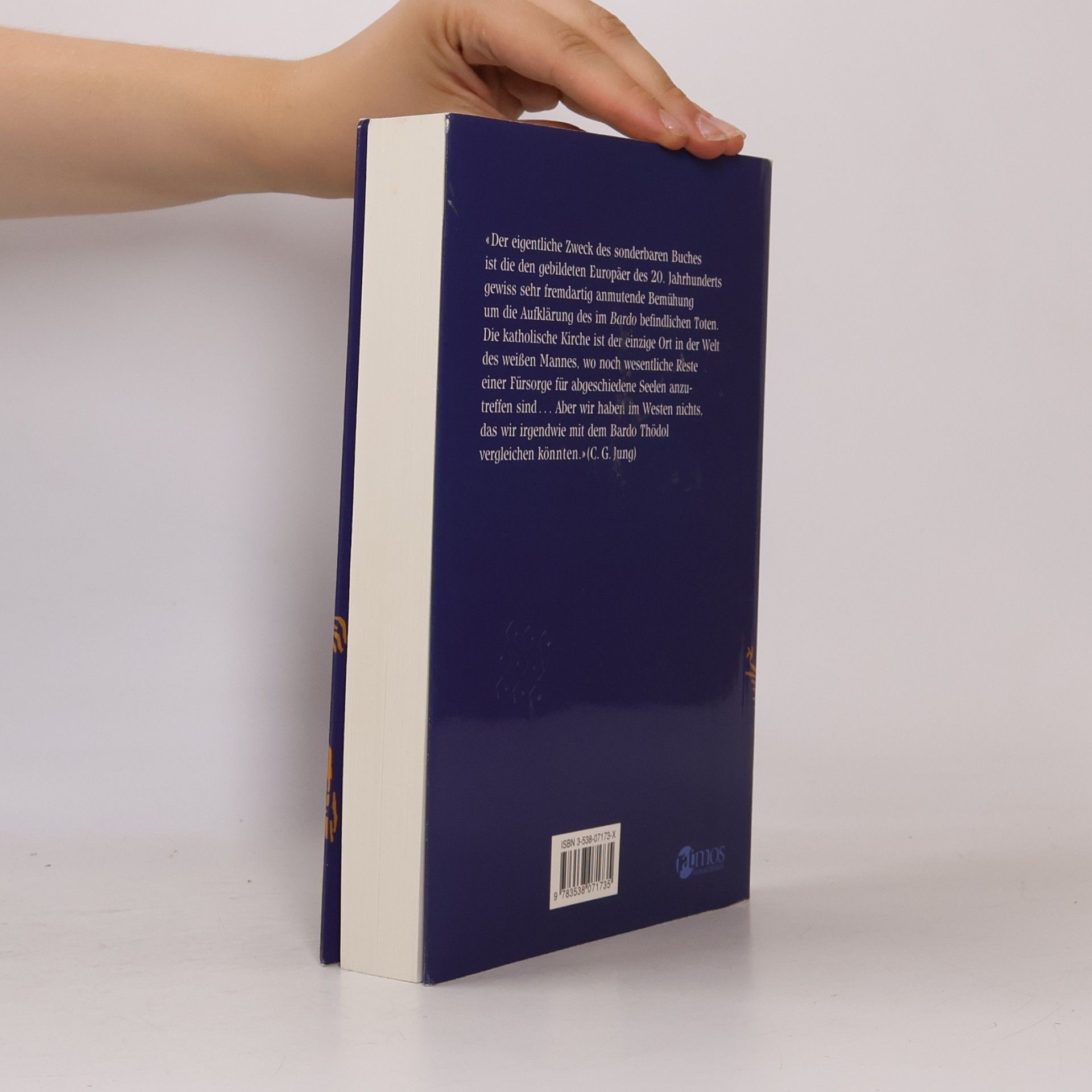 Anagarika Govinda Das tibetanische Totenbuch oder die Nach-Tod-Erfahrung auf der Bardo-Stufe.