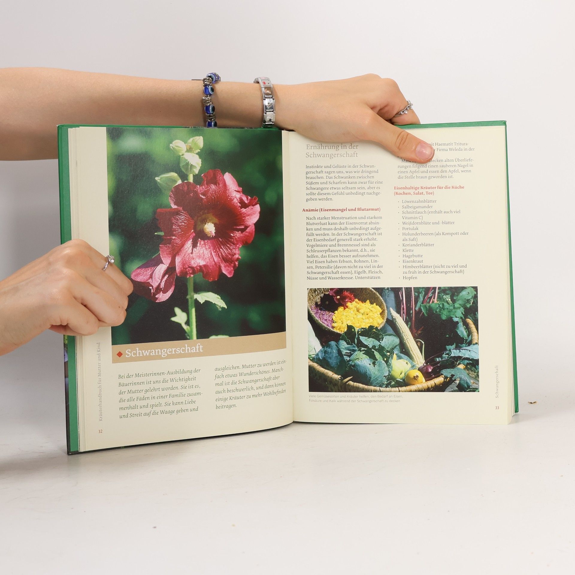Gertrude Messner Kräuterhandbuch für Mutter und Kind