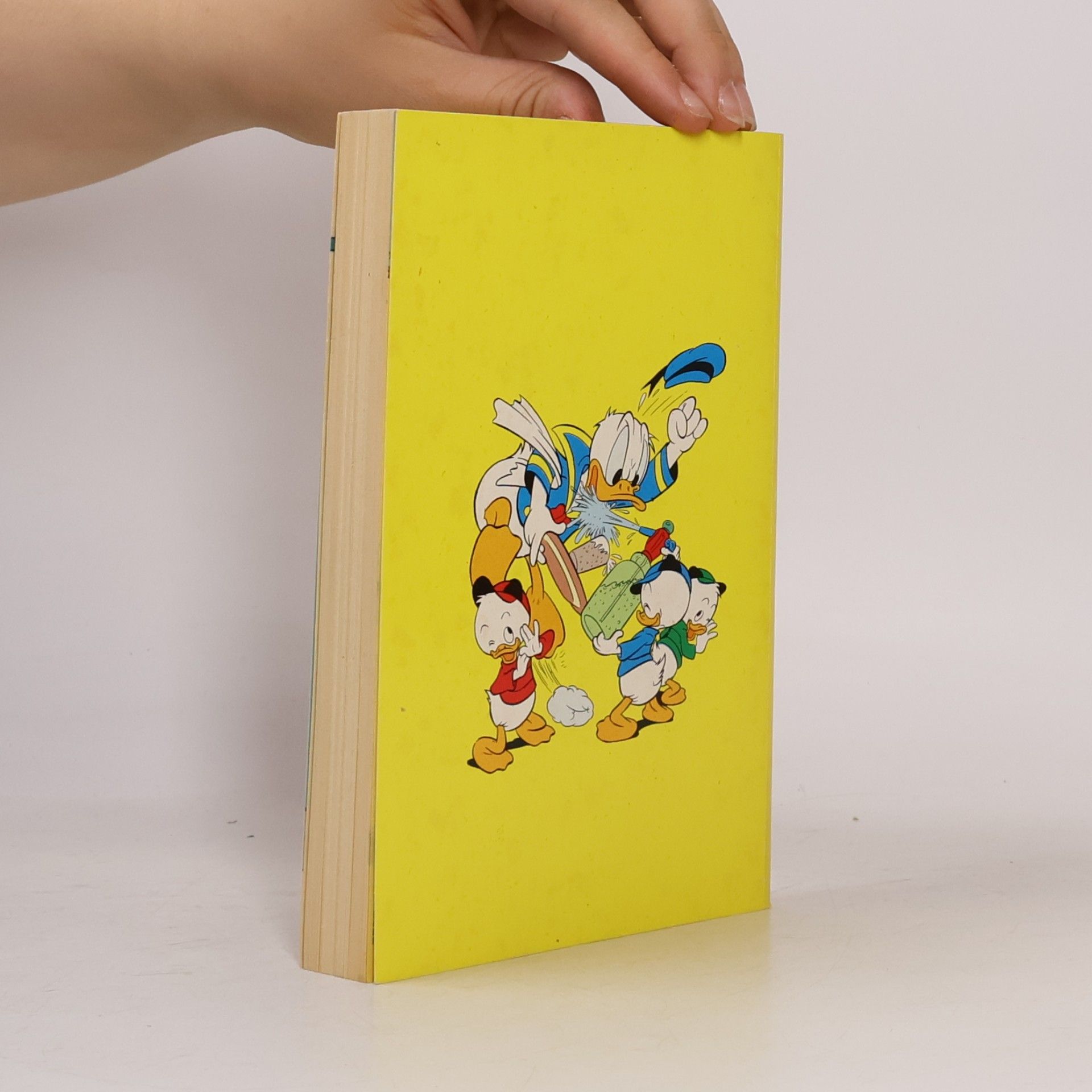 Autorenkollektiv Lustiges Taschenbuch 100. Ein Fest für Donald
