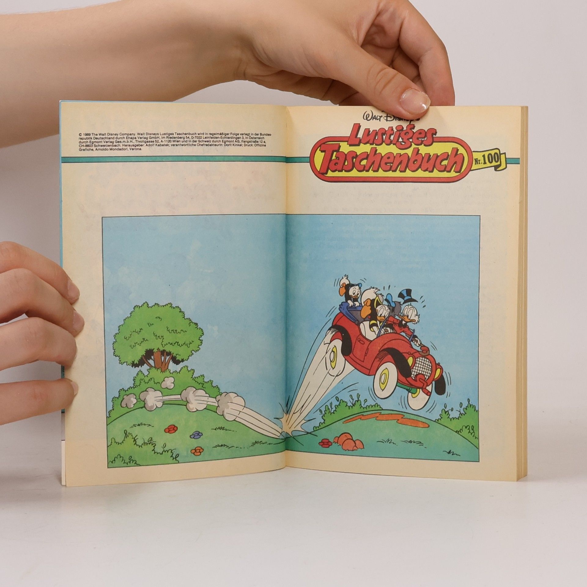 Autorenkollektiv Lustiges Taschenbuch 100. Ein Fest für Donald
