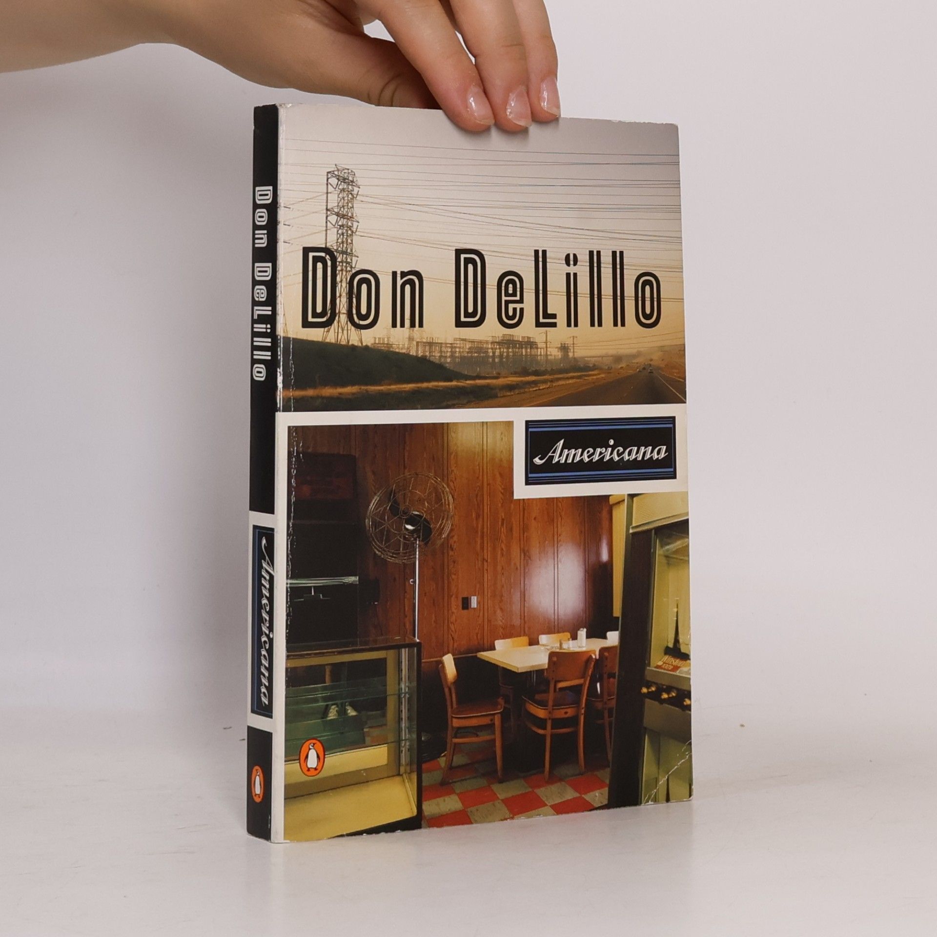 Don DeLillo Americana