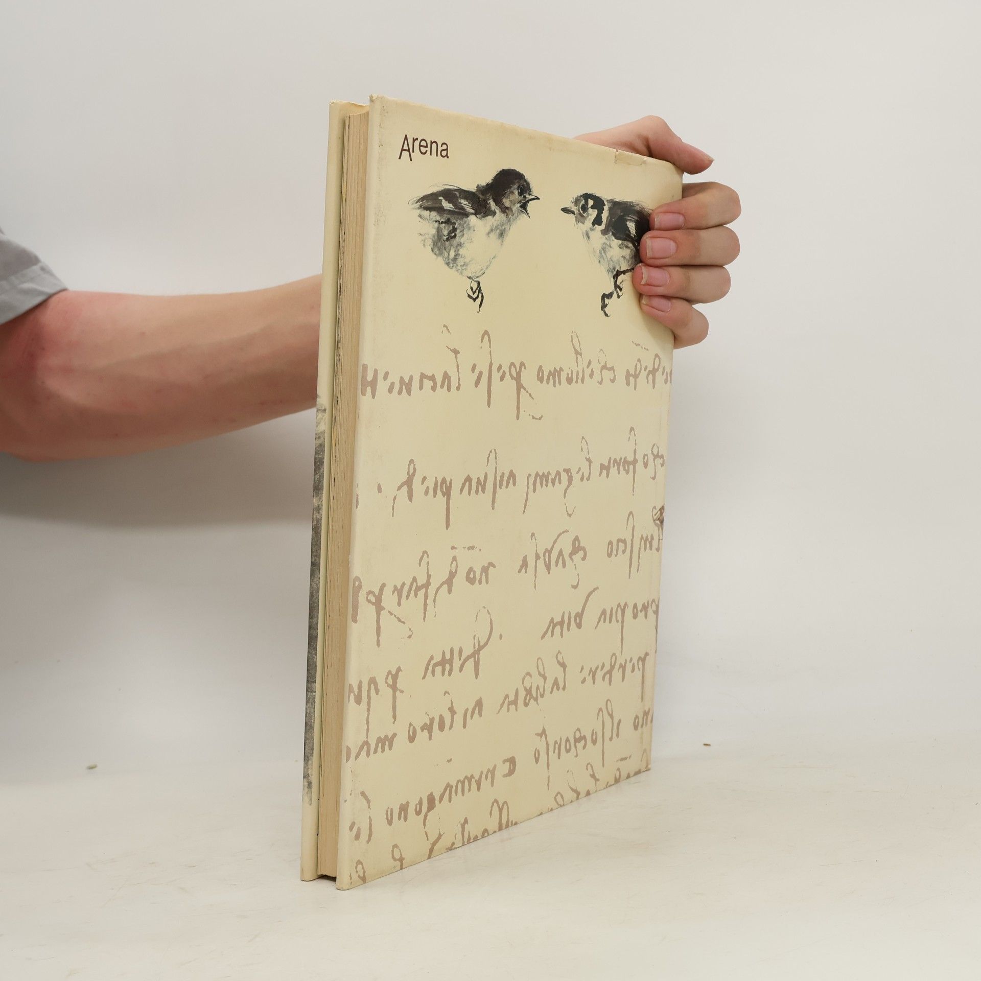 Bruno Nardini Die Fabeln des Leonardo da Vinci