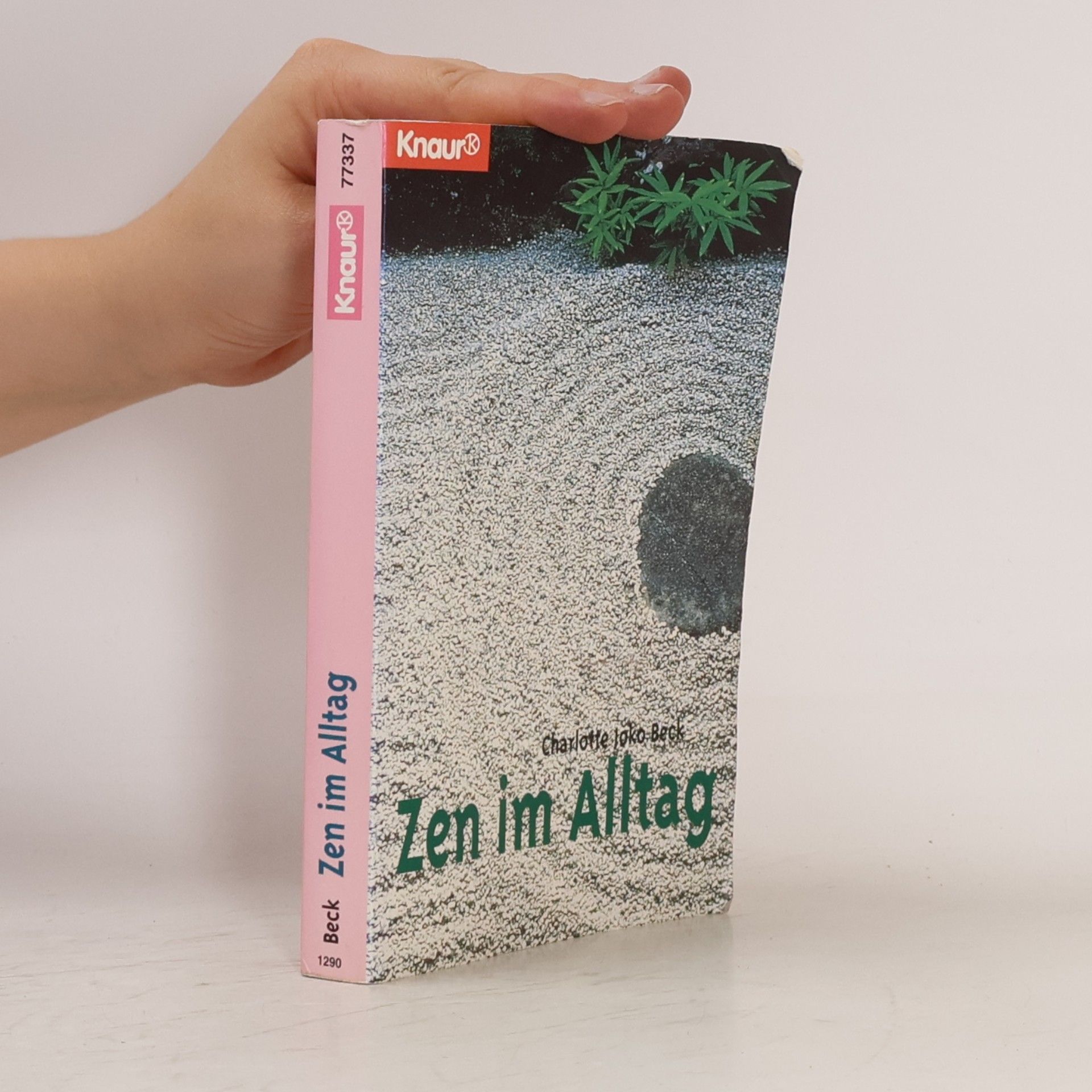 Joko Beck Zen im Alltag