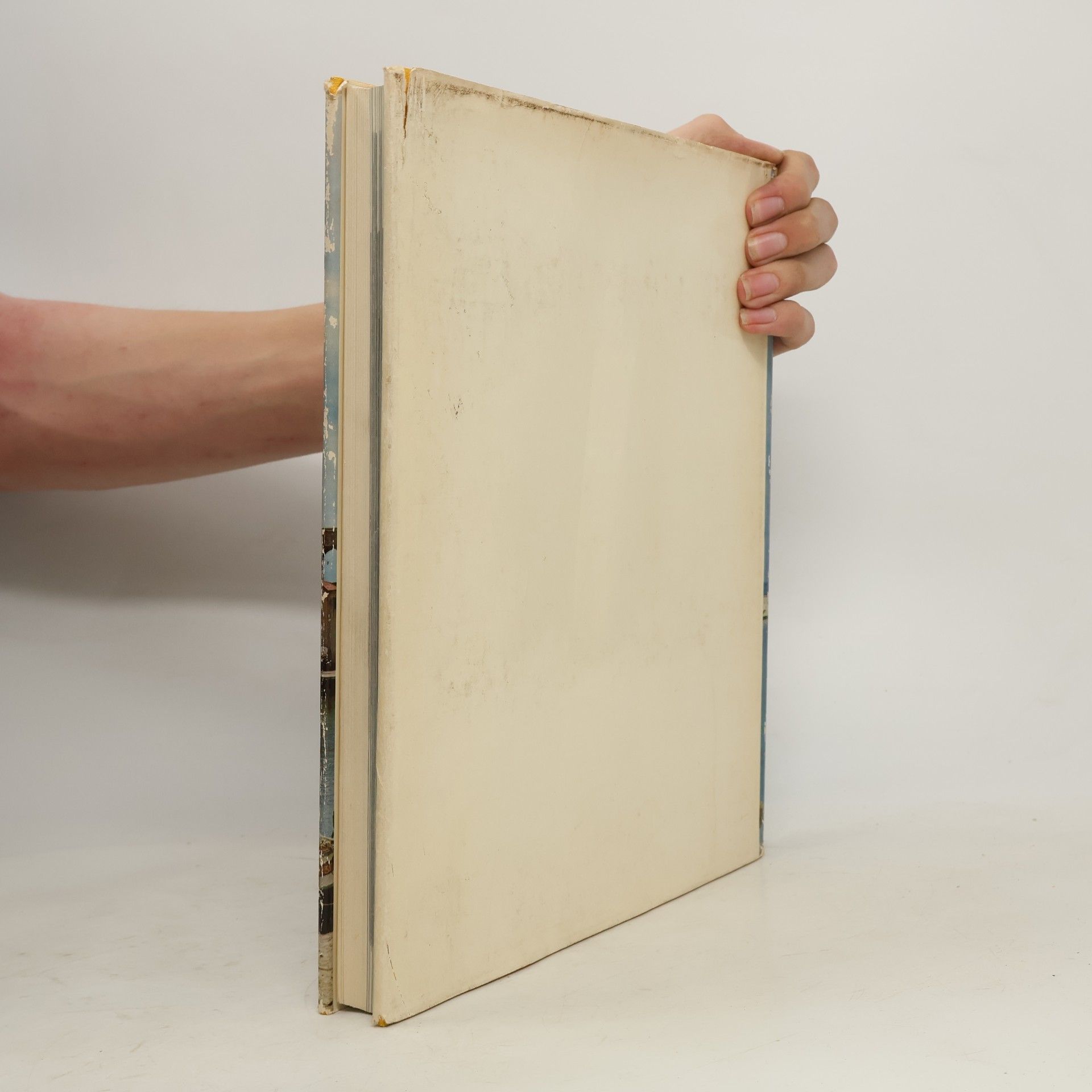 Autorenkollektiv Das Goldene Buch vom Mittelmeer