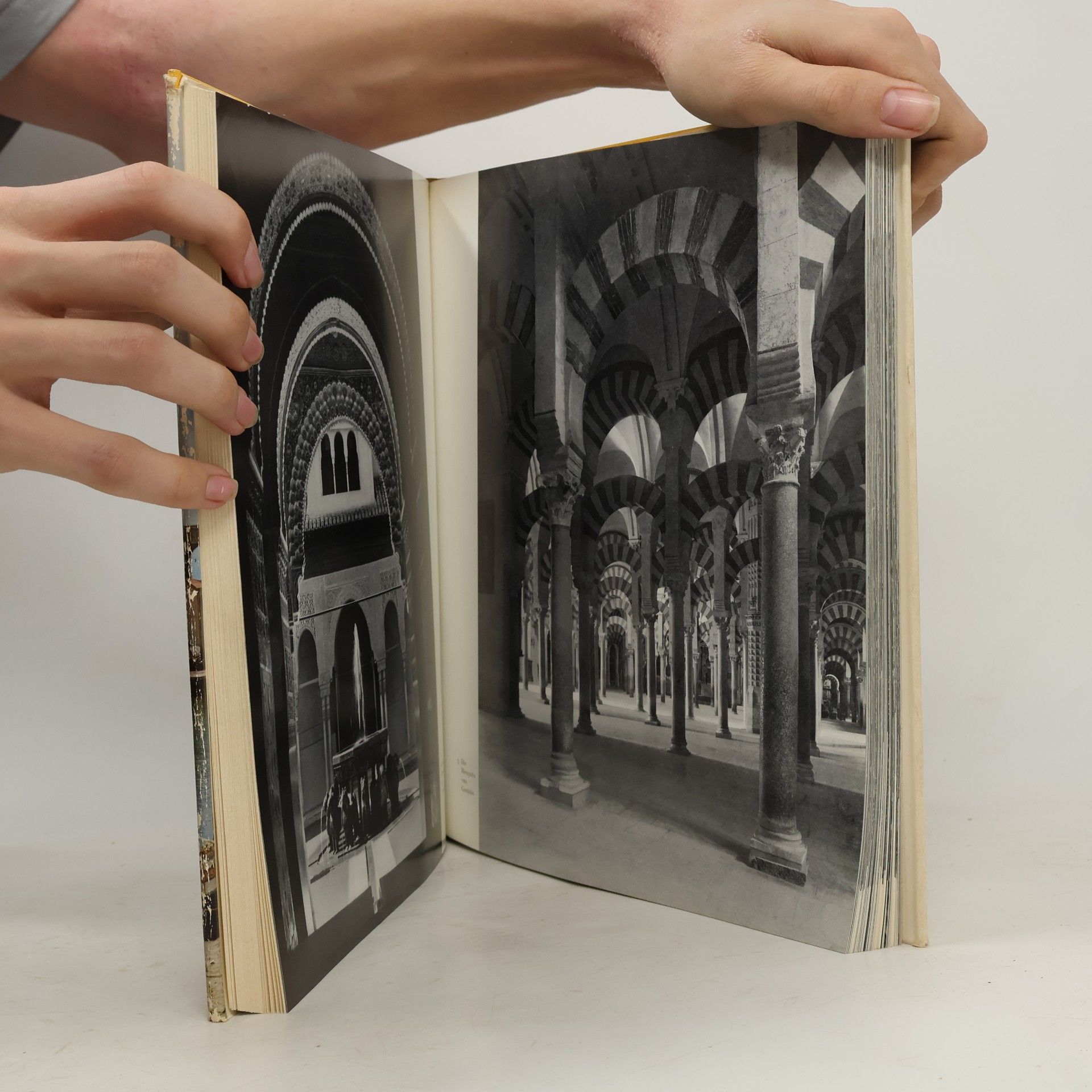 Autorenkollektiv Das Goldene Buch vom Mittelmeer