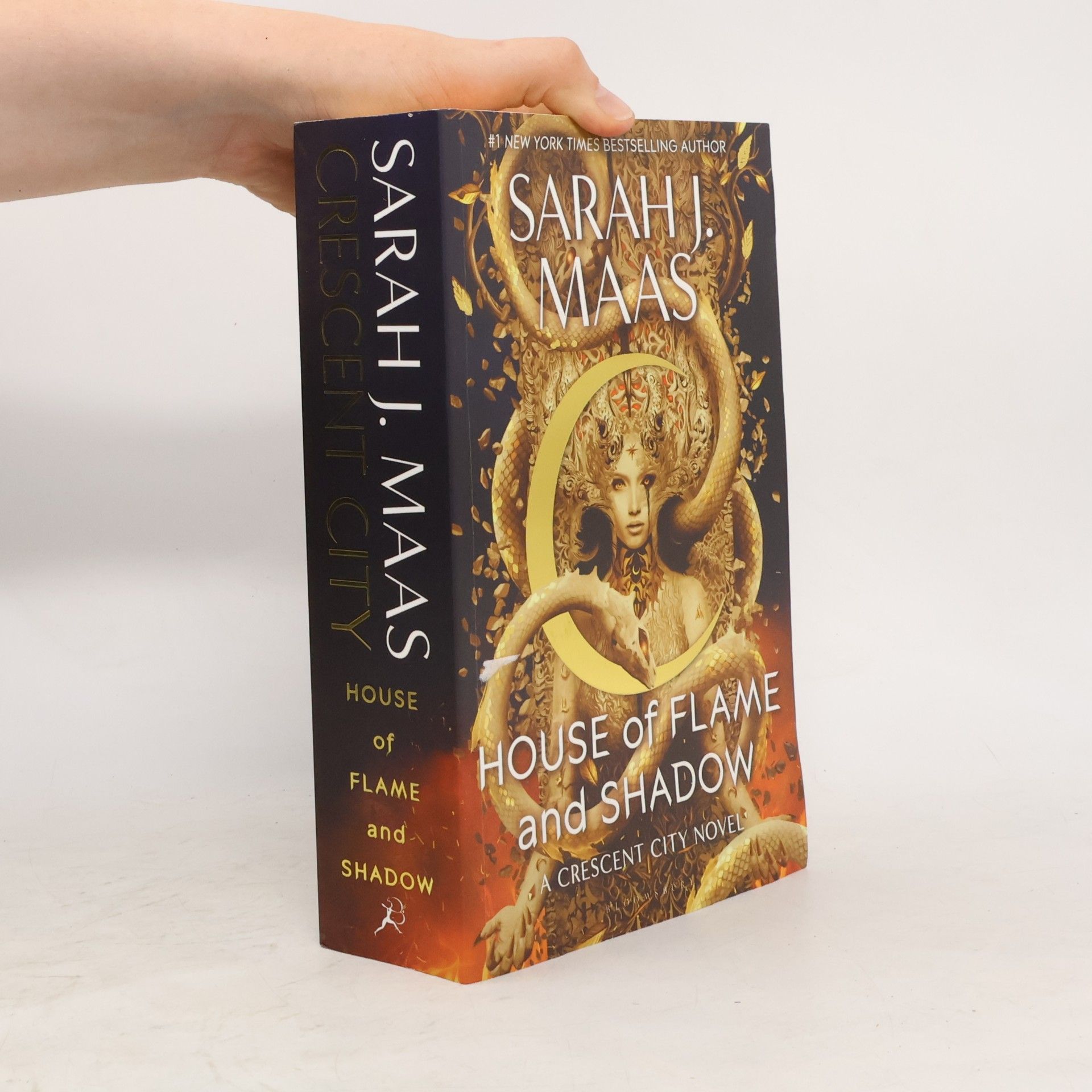 Sarah J. Maas House of Flame and Shadow