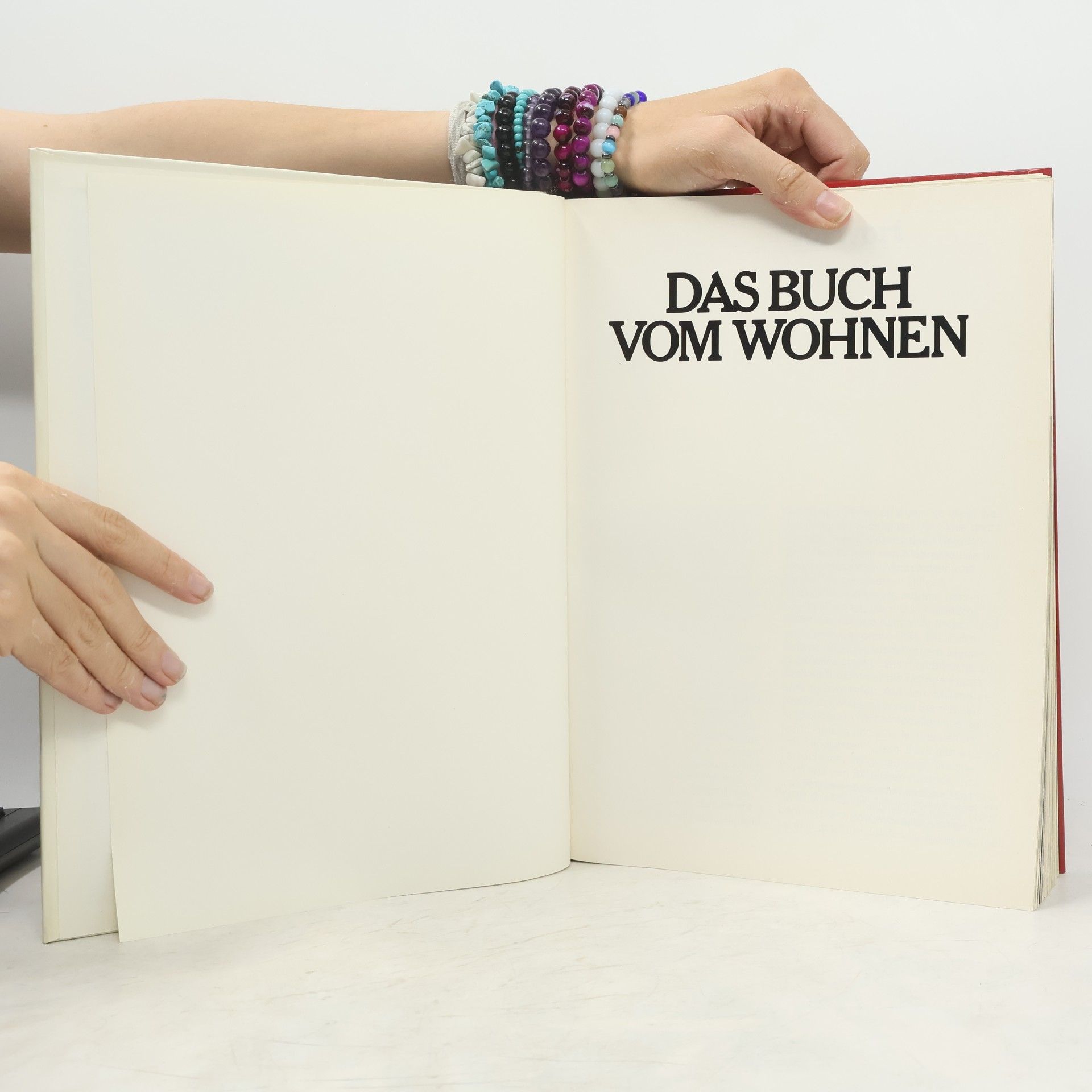 Kolektív autorov Das Buch vom Wohnen