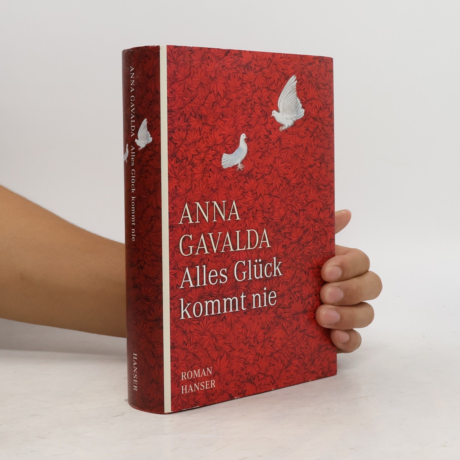 Anna Gavalda Alles Glück kommt nie