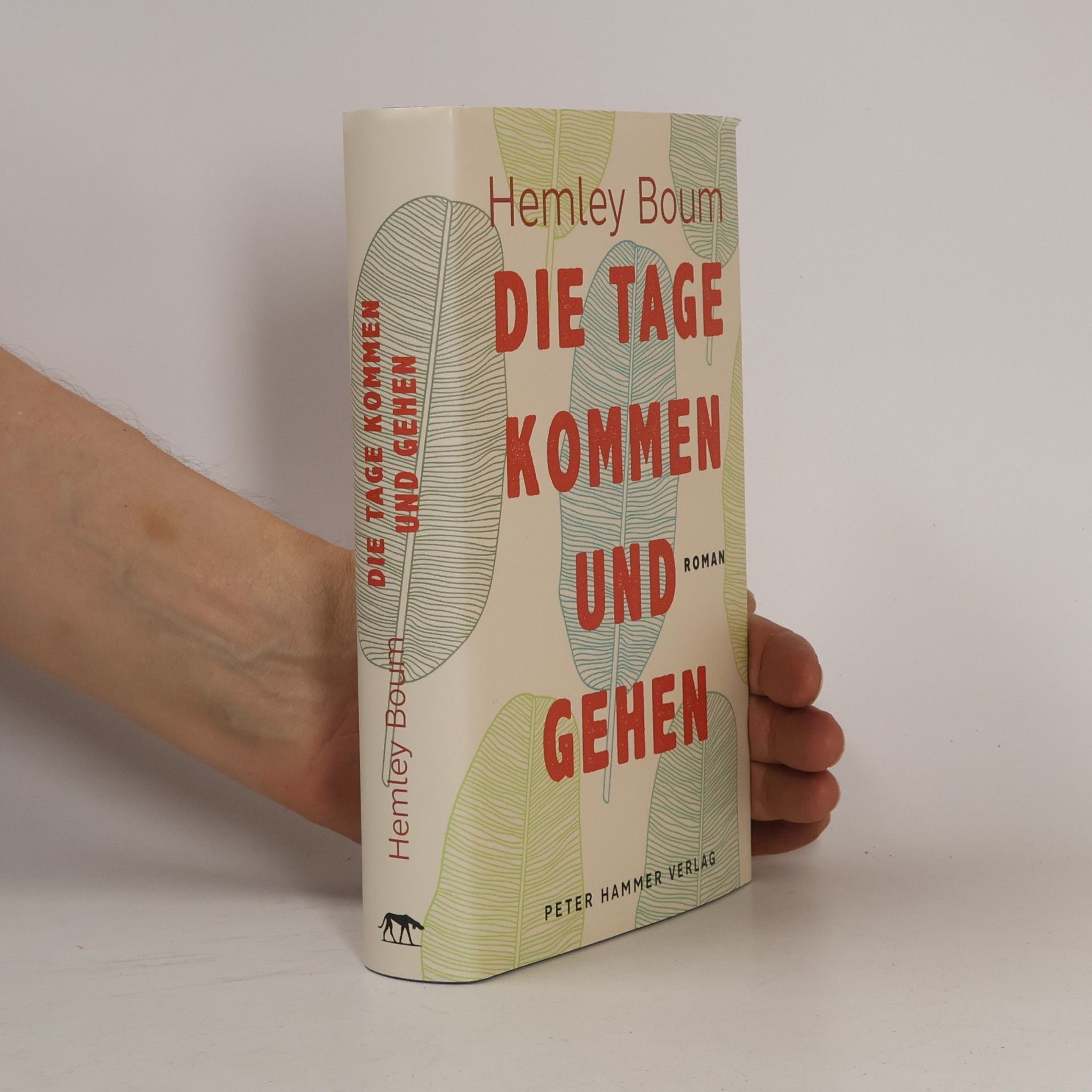 Hemley Boum Die Tage kommen und gehen