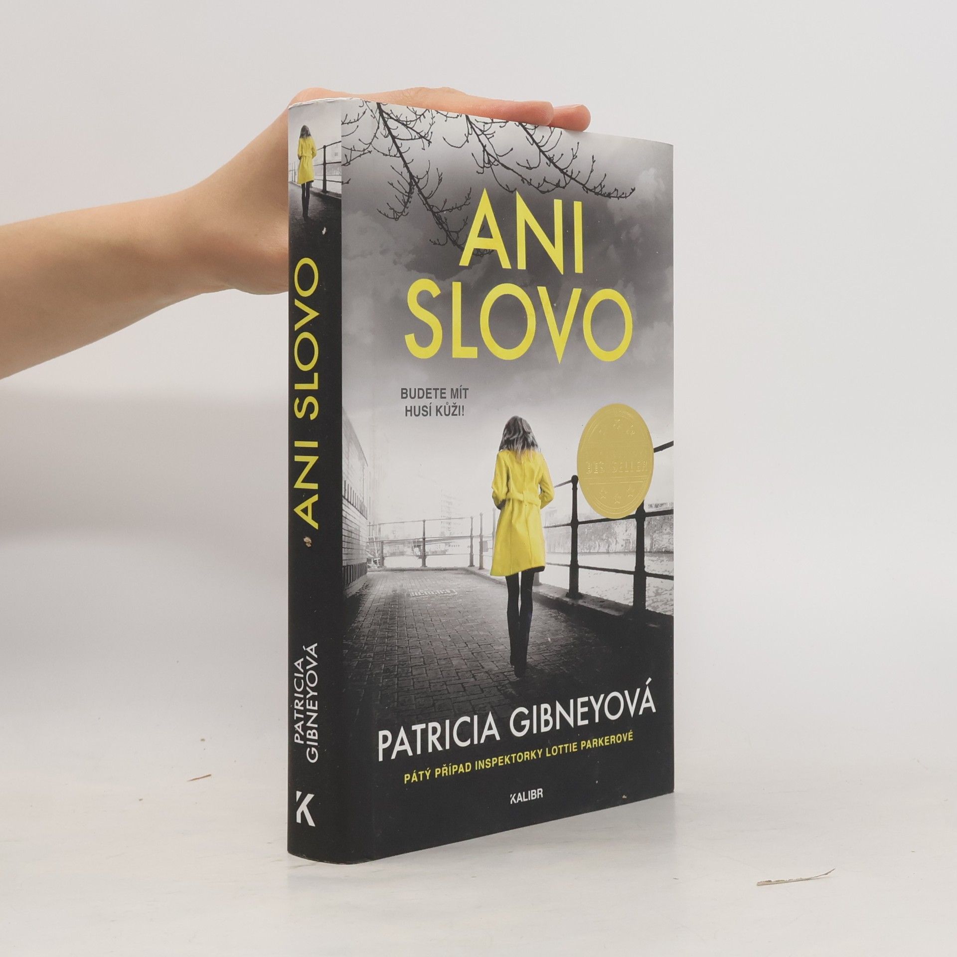 Patricia Gibney Ani slovo