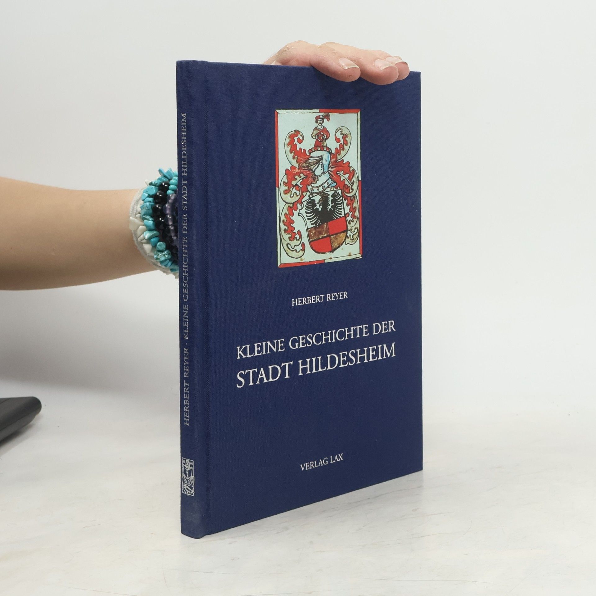 Herbert Reyer Kleine Geschichte der Stadt Hildesheim