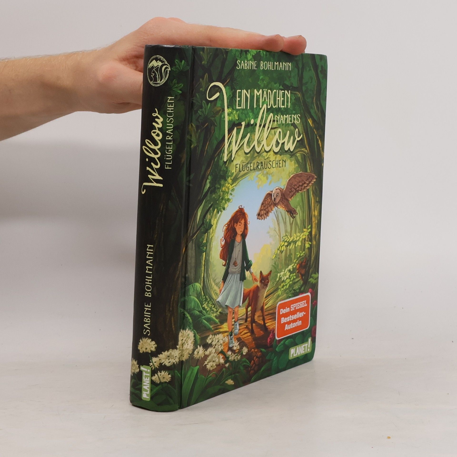 Sabine Bohlmann Ein Mädchen namens Willow - Flügelrauschen