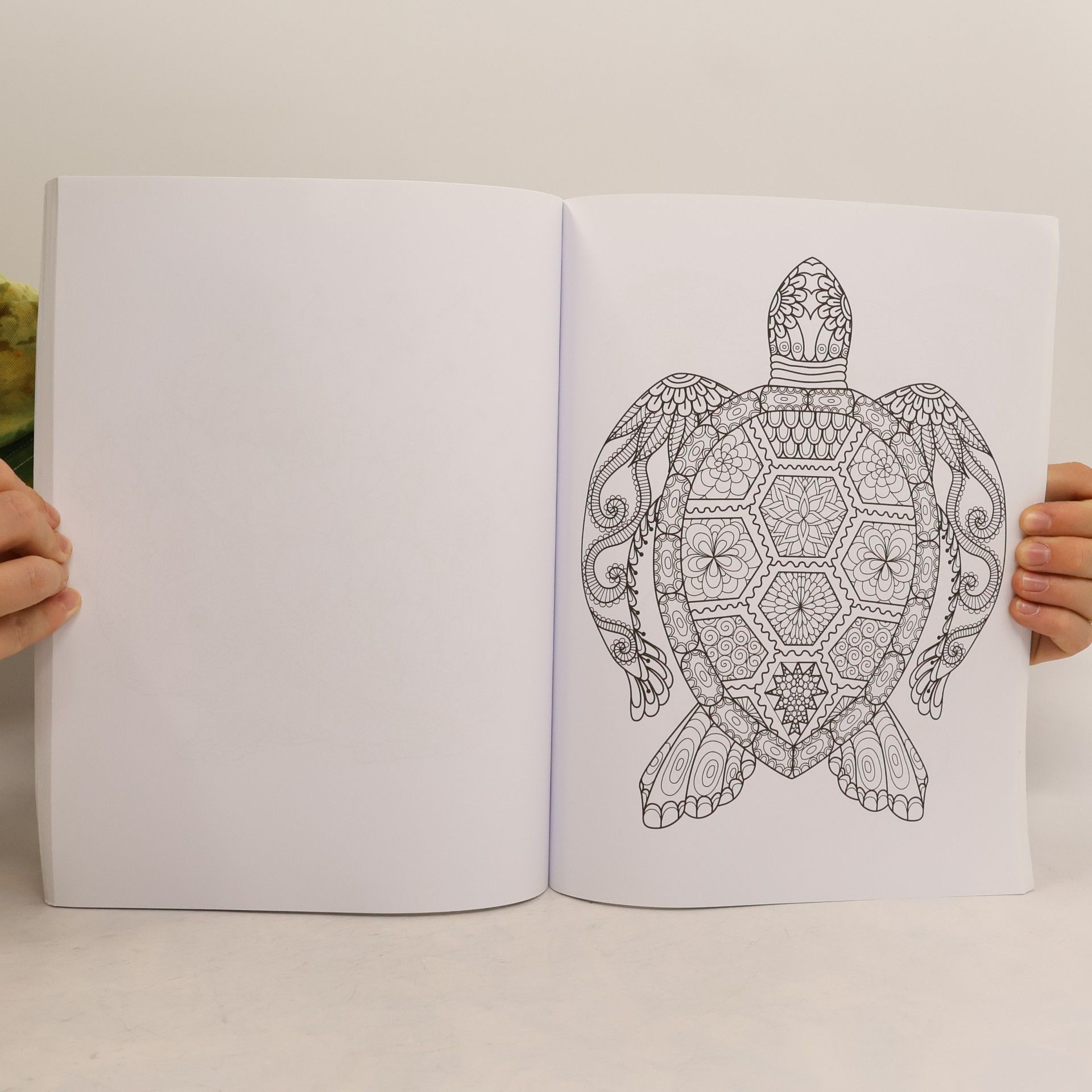 Olympia Soare Malbuch für Erwachsene