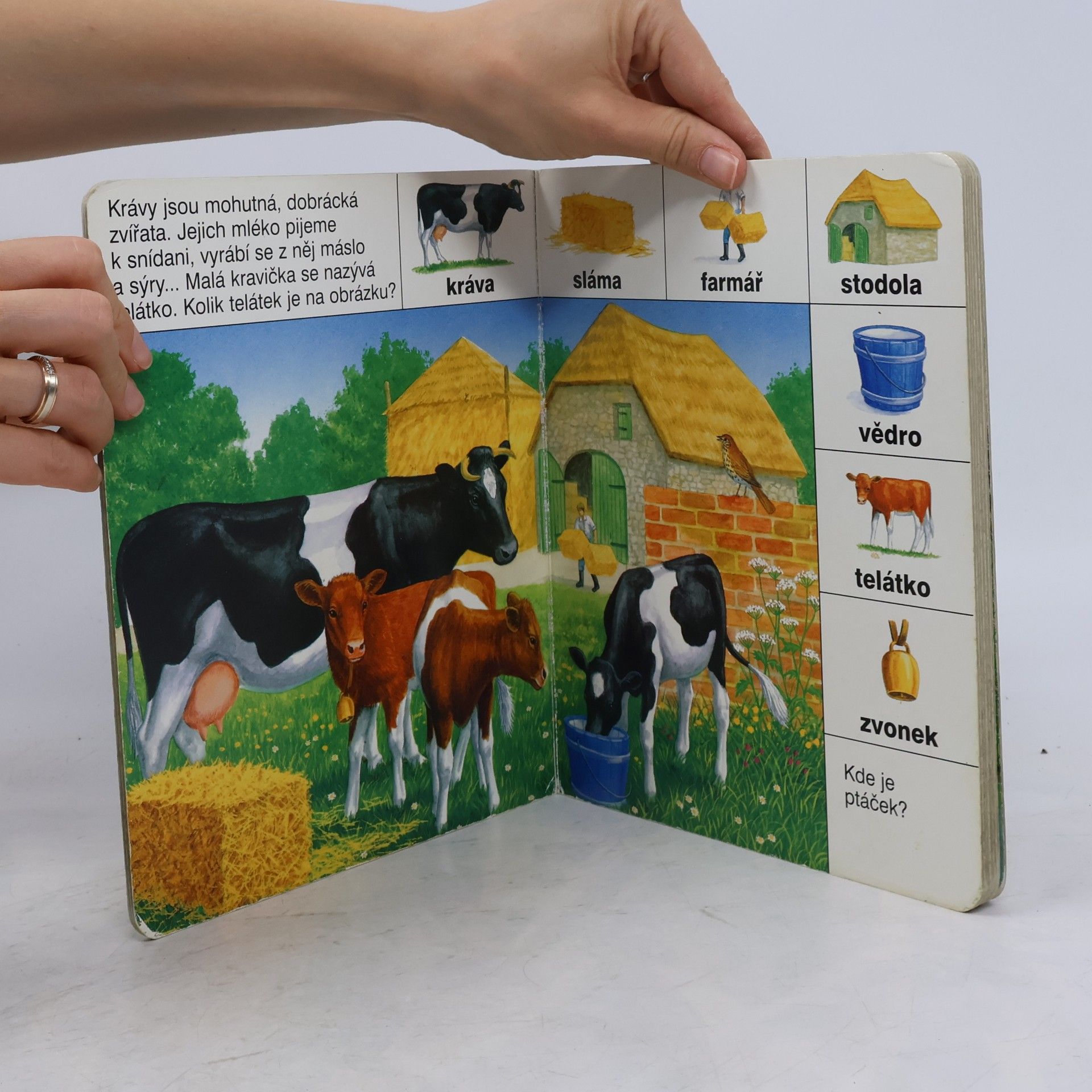 Autorenkollektiv Zvířátka na farmě